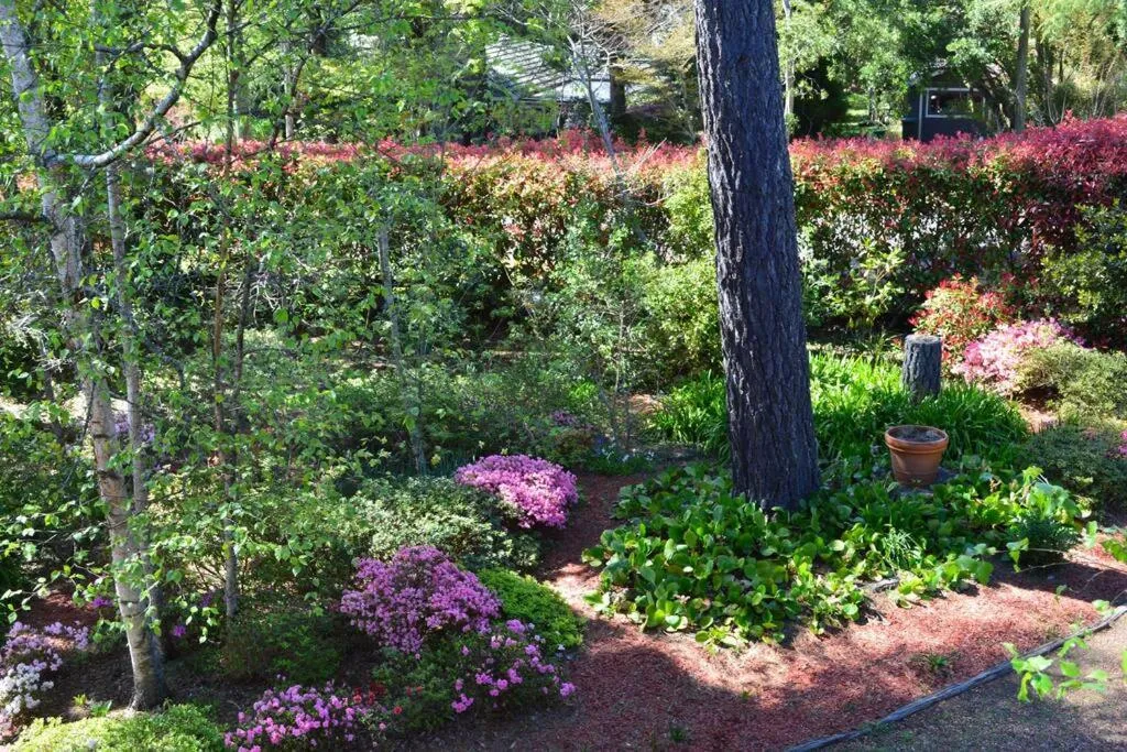 Garden view in Cloudland Garden Oasis