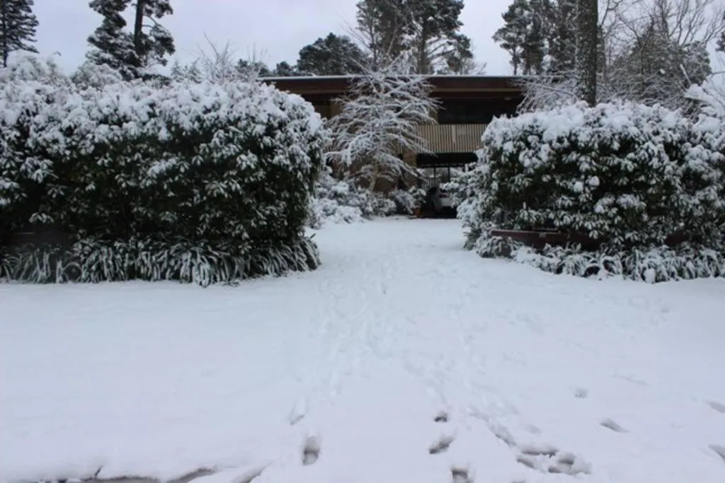 Winter in Cloudland Garden Oasis