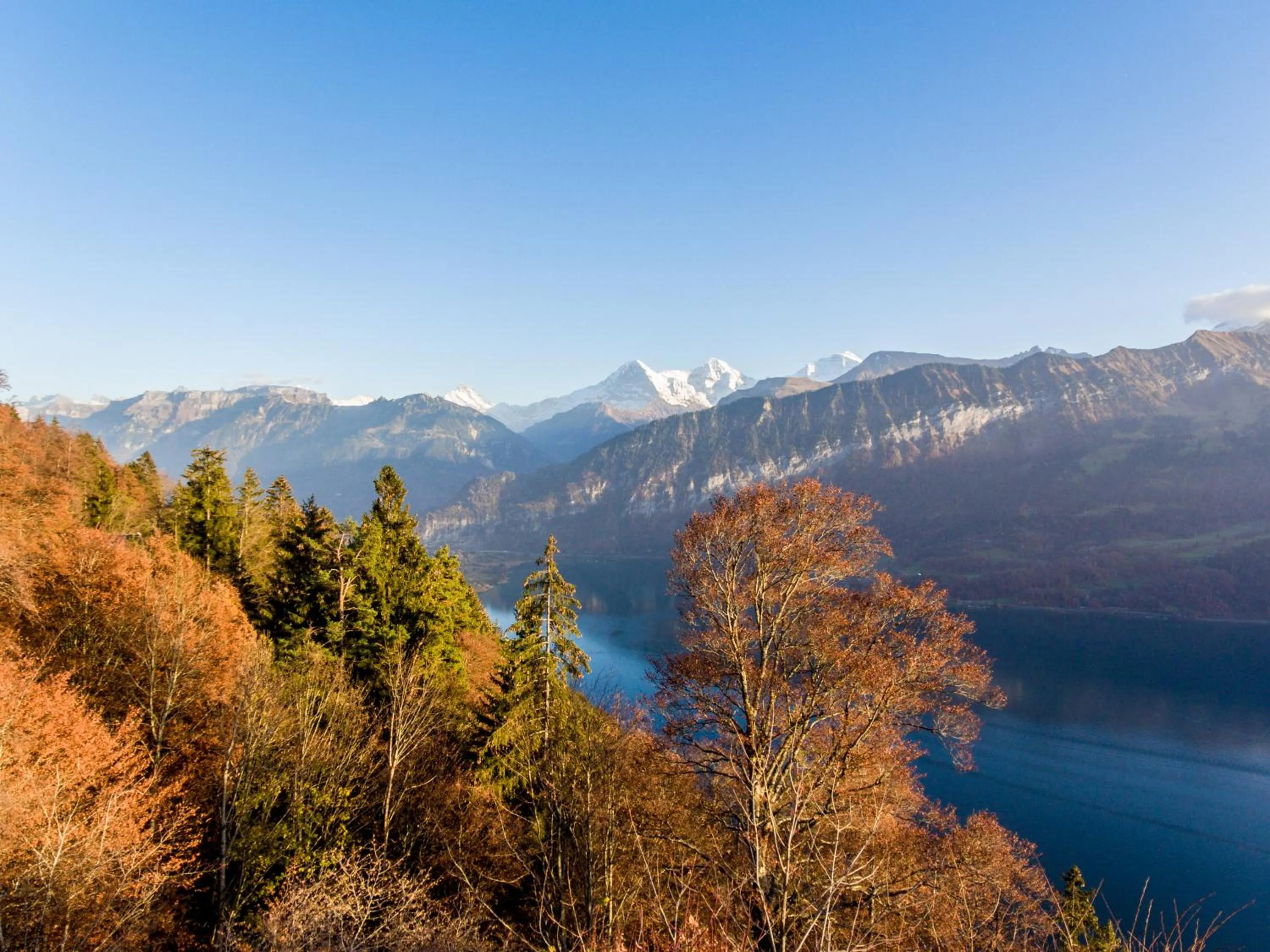 Natural landscape in Apartment Alpenrose 2.5 mit Mitbenutzung SPA & Wellness - GRIWA RENT AG