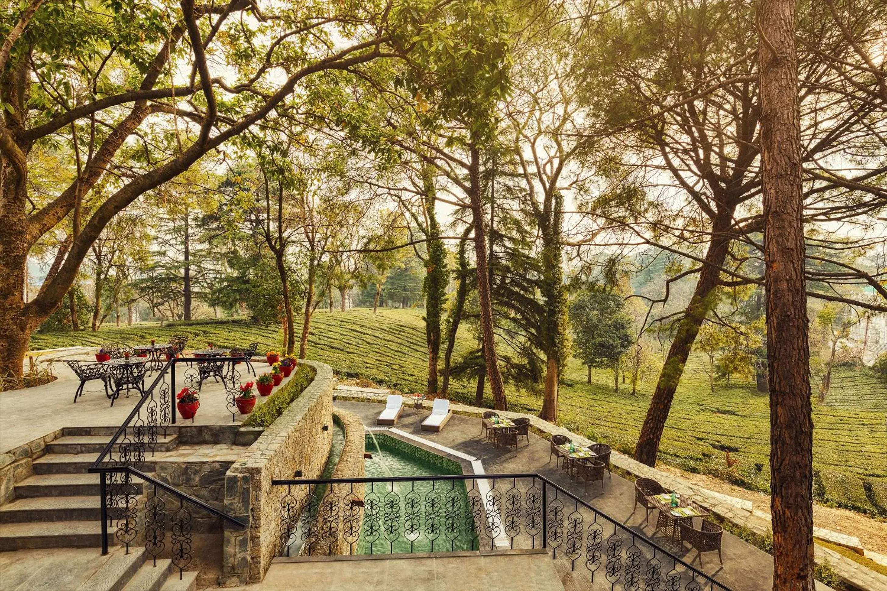 Breakfast in Infinitea Dakbunglow Palampur Breakfast in Infinitea Dakbunglow Palampur