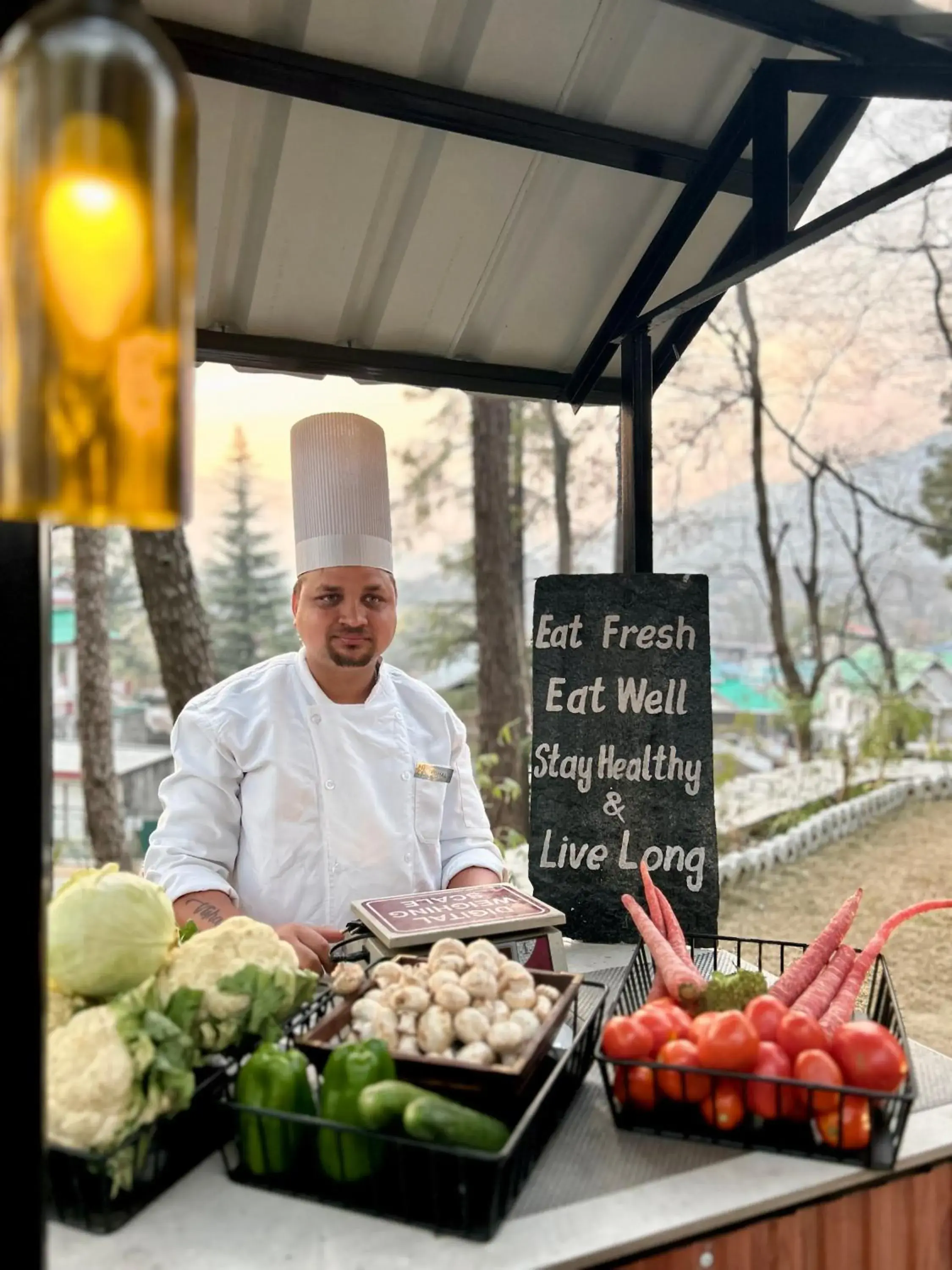 Restaurant/places to eat in Infinitea Dakbunglow Palampur Restaurant/places to eat in Infinitea Dakbunglow Palampur