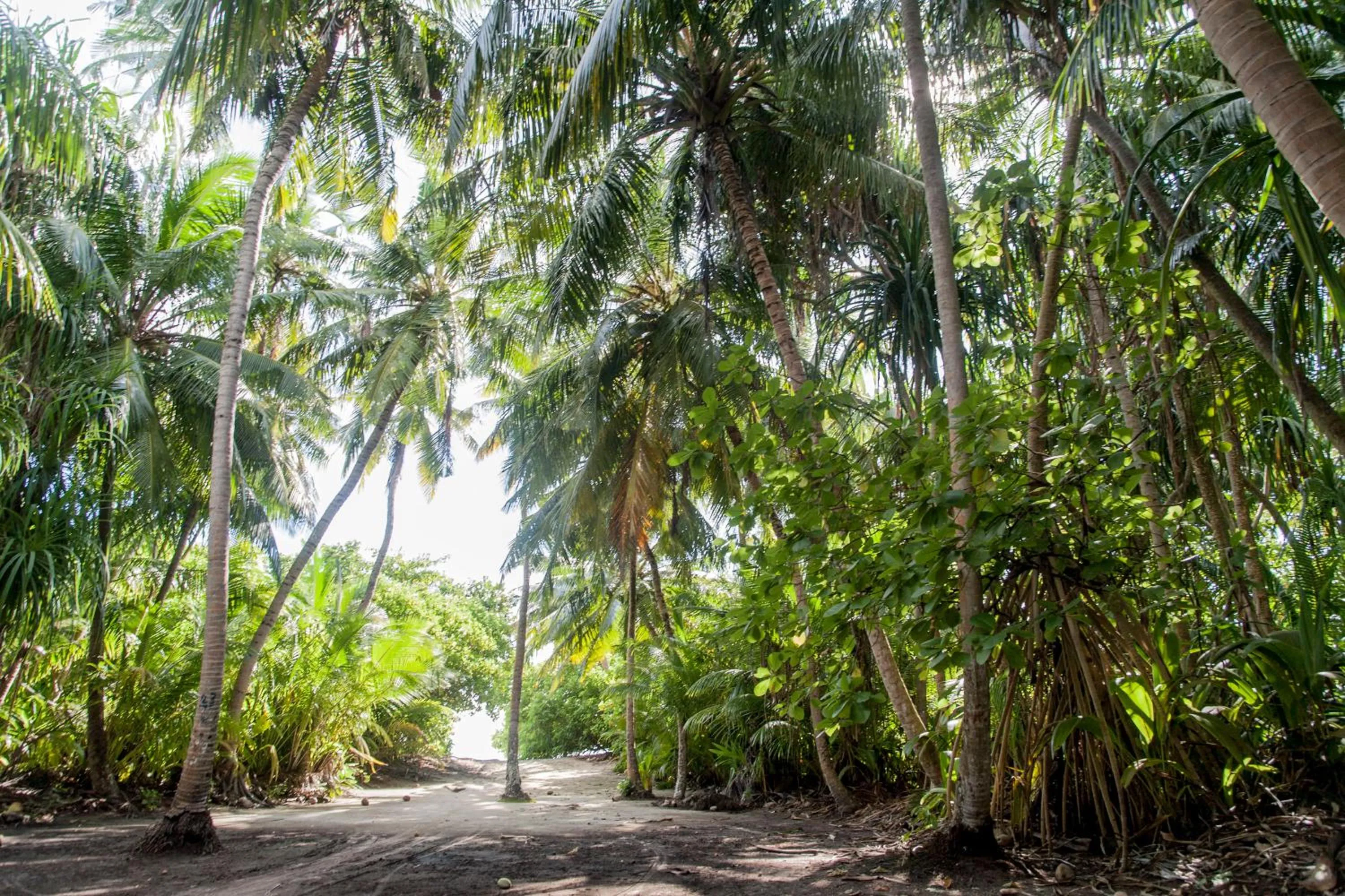 Other in Dhonfulhafi Beach View