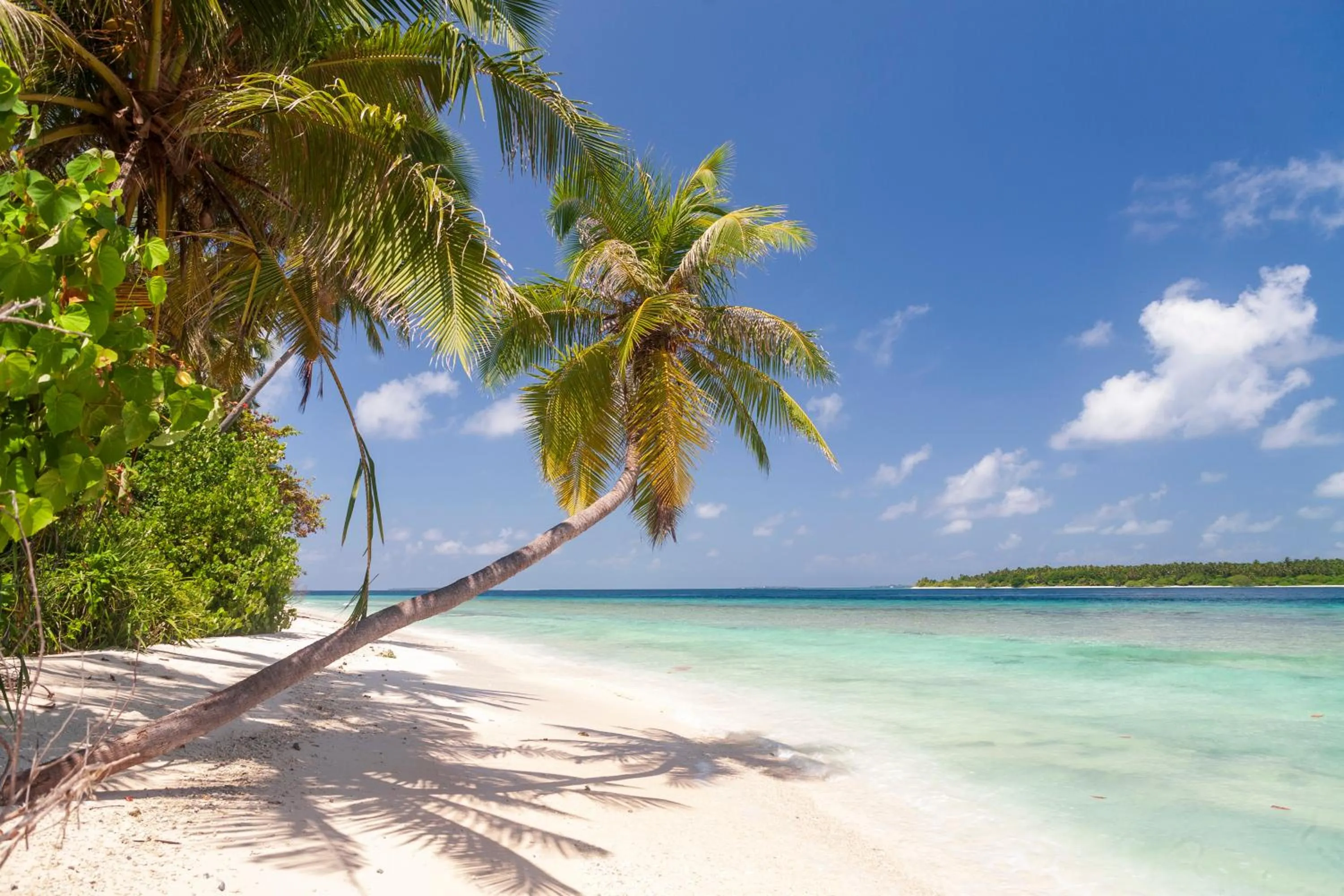 Beach in Dhonfulhafi Beach View
