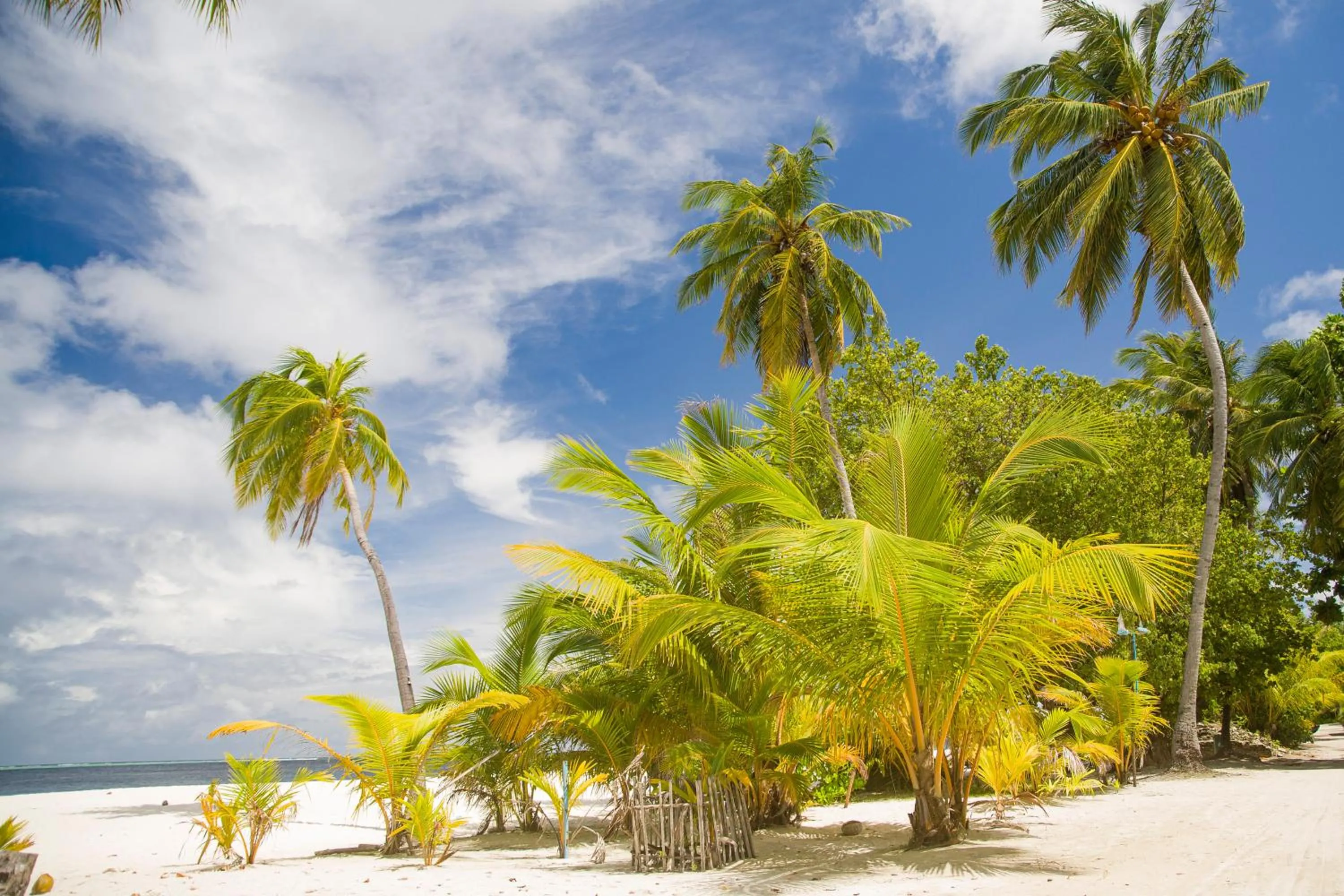 Beach in Dhonfulhafi Beach View