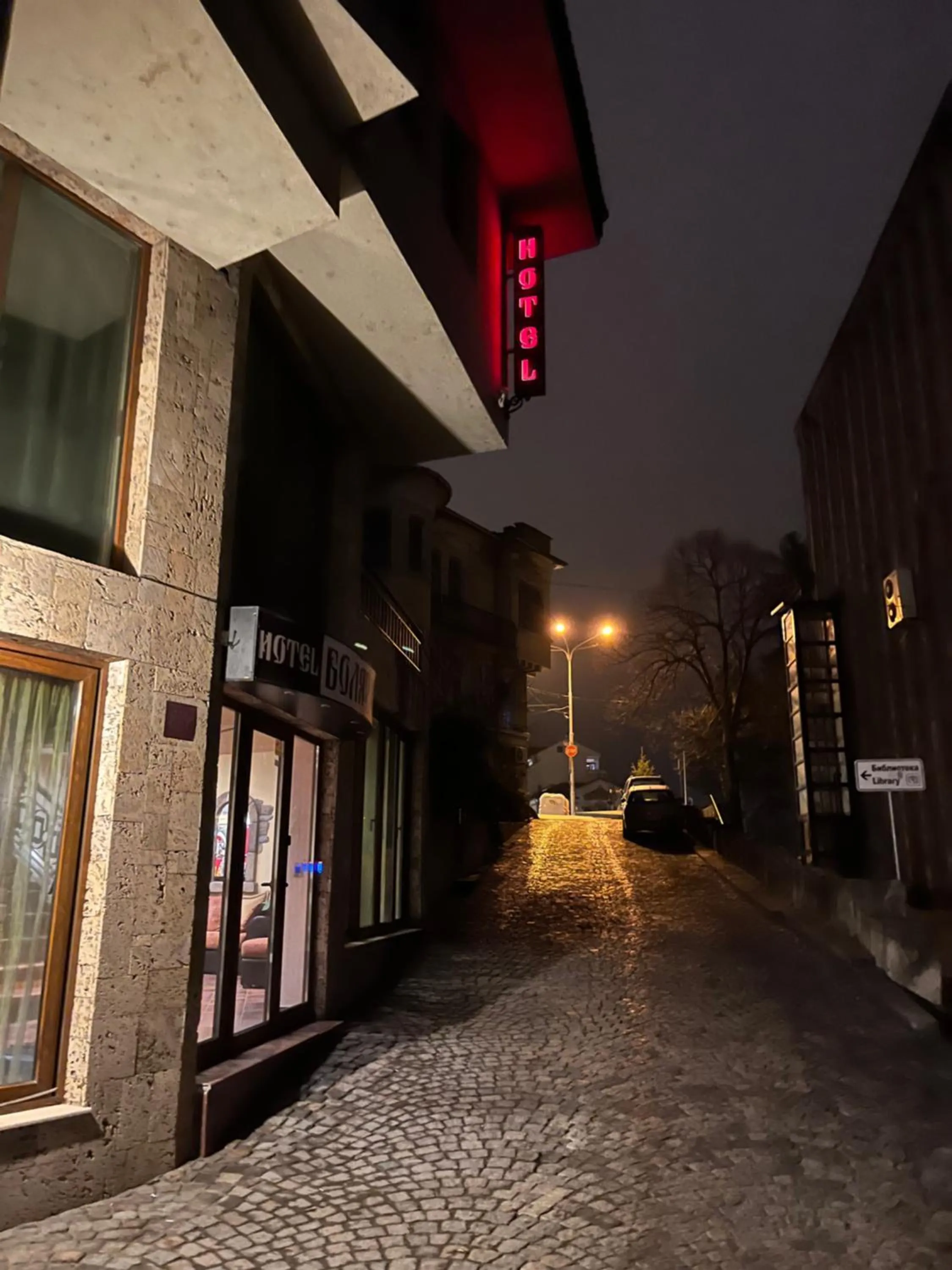 Night in HOTEL BOLYARI