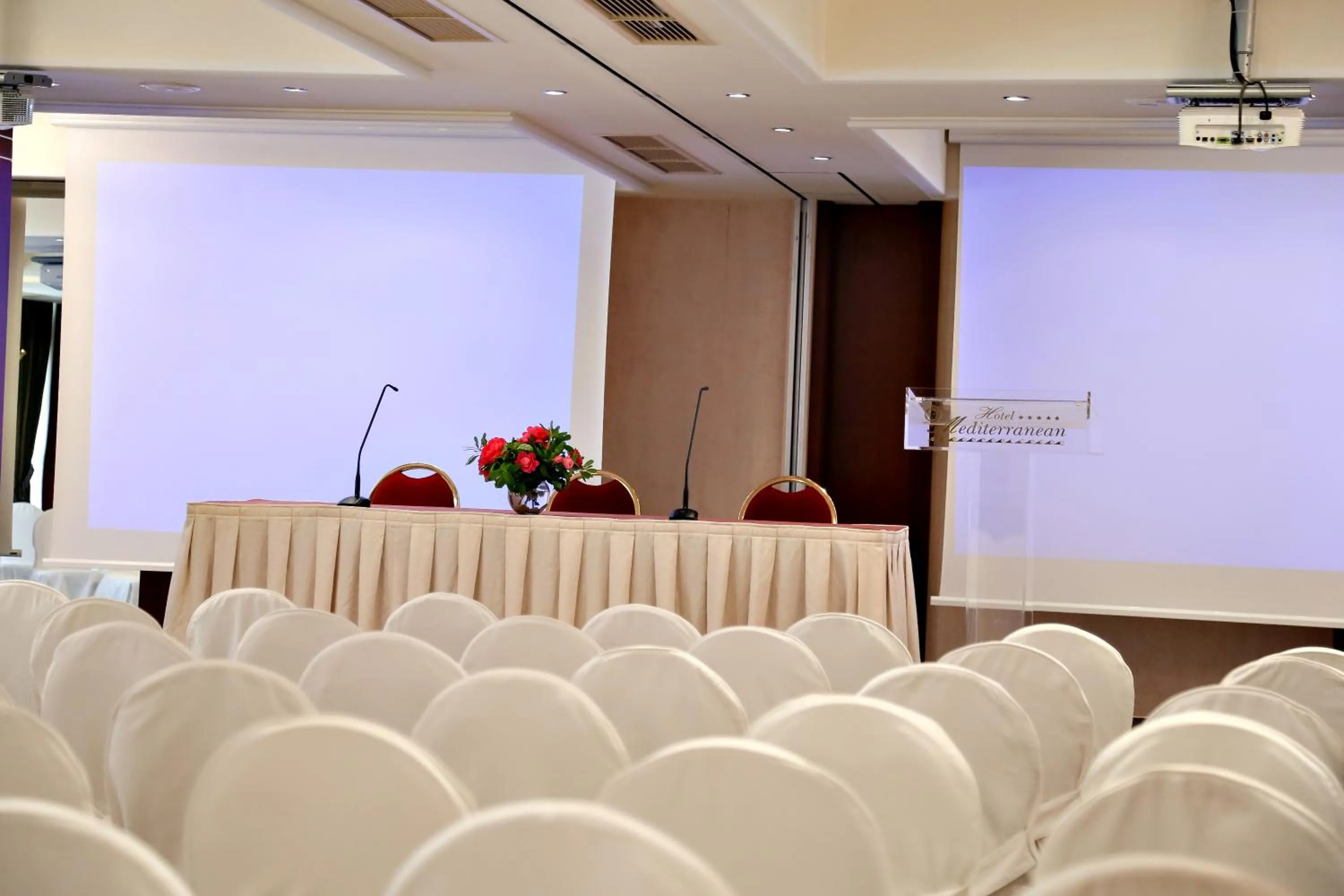 Business facilities in Mediterranean Hotel