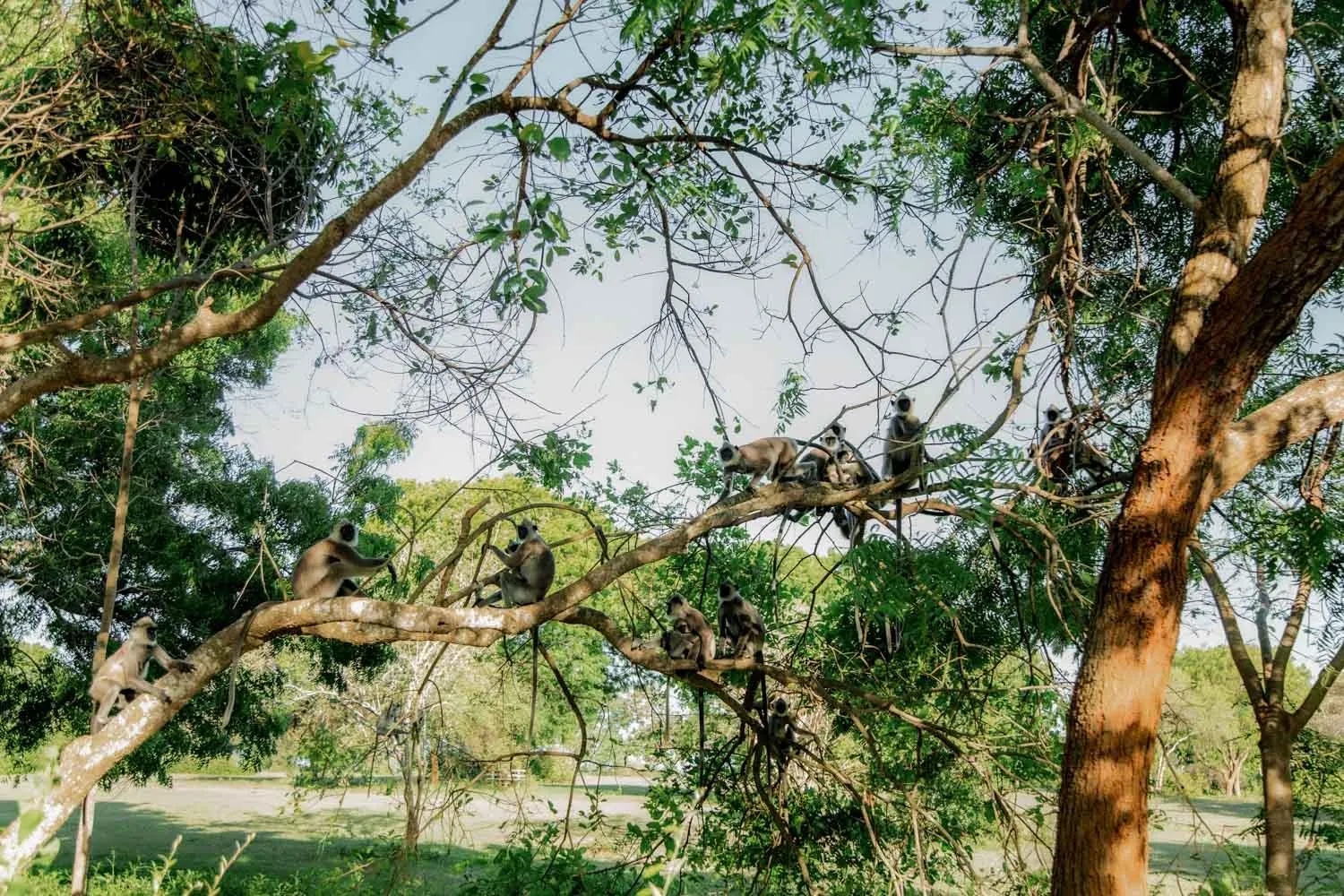 Nearby landmark in Ceylonta Beach Resort and Spa