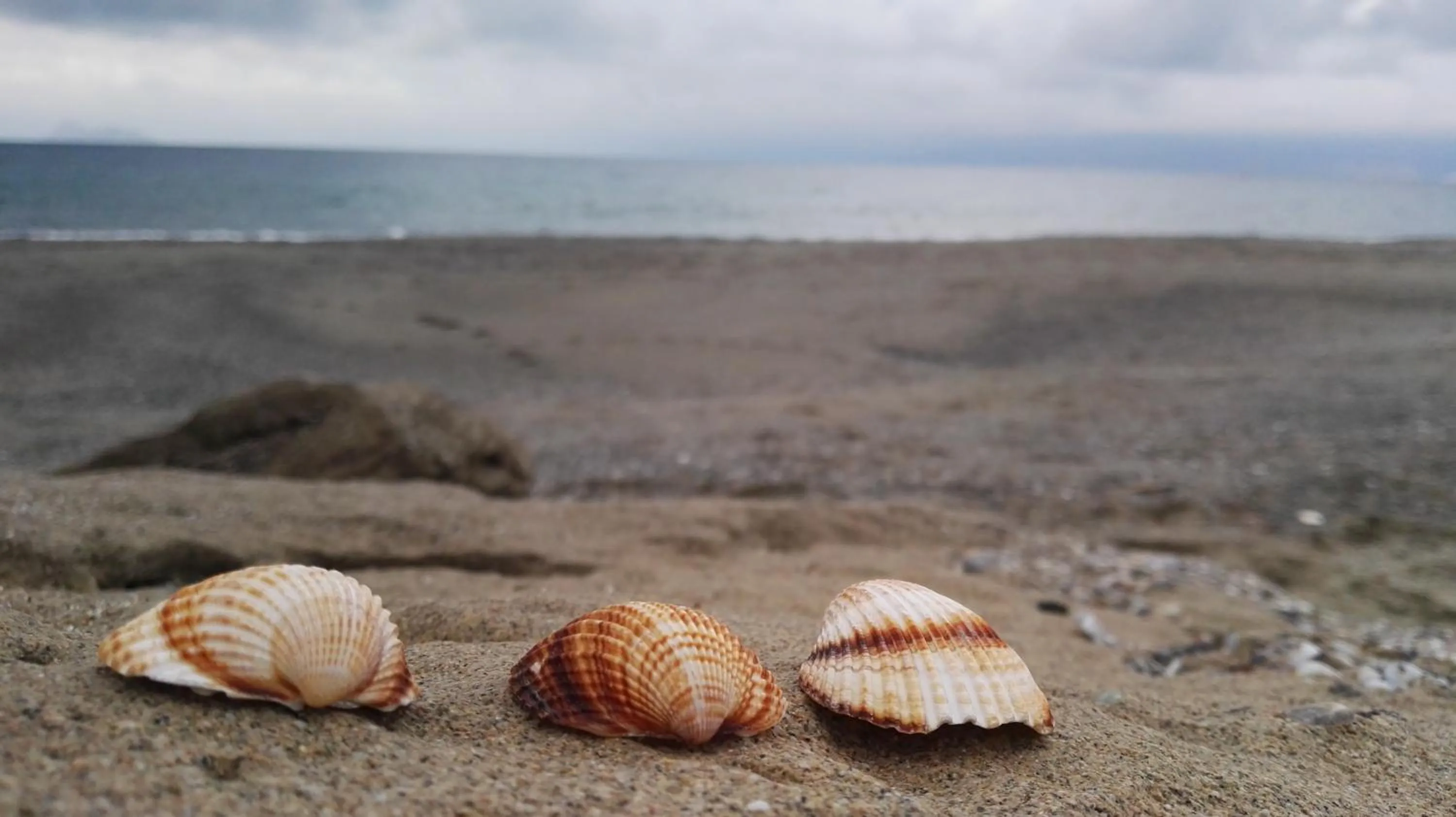 Nearby landmark in Dimitris Villa Hotel