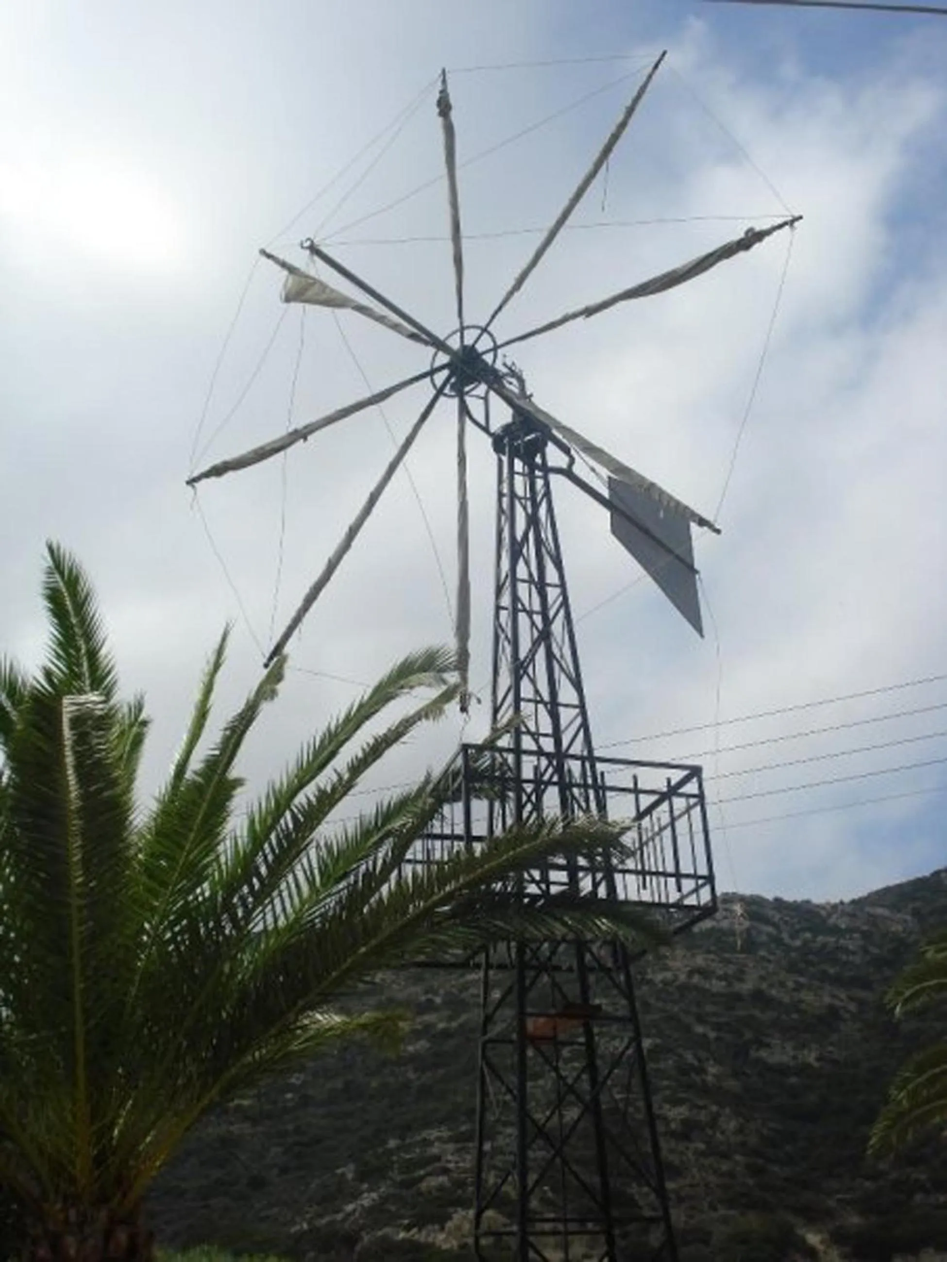 Garden in Dimitris Villa Hotel