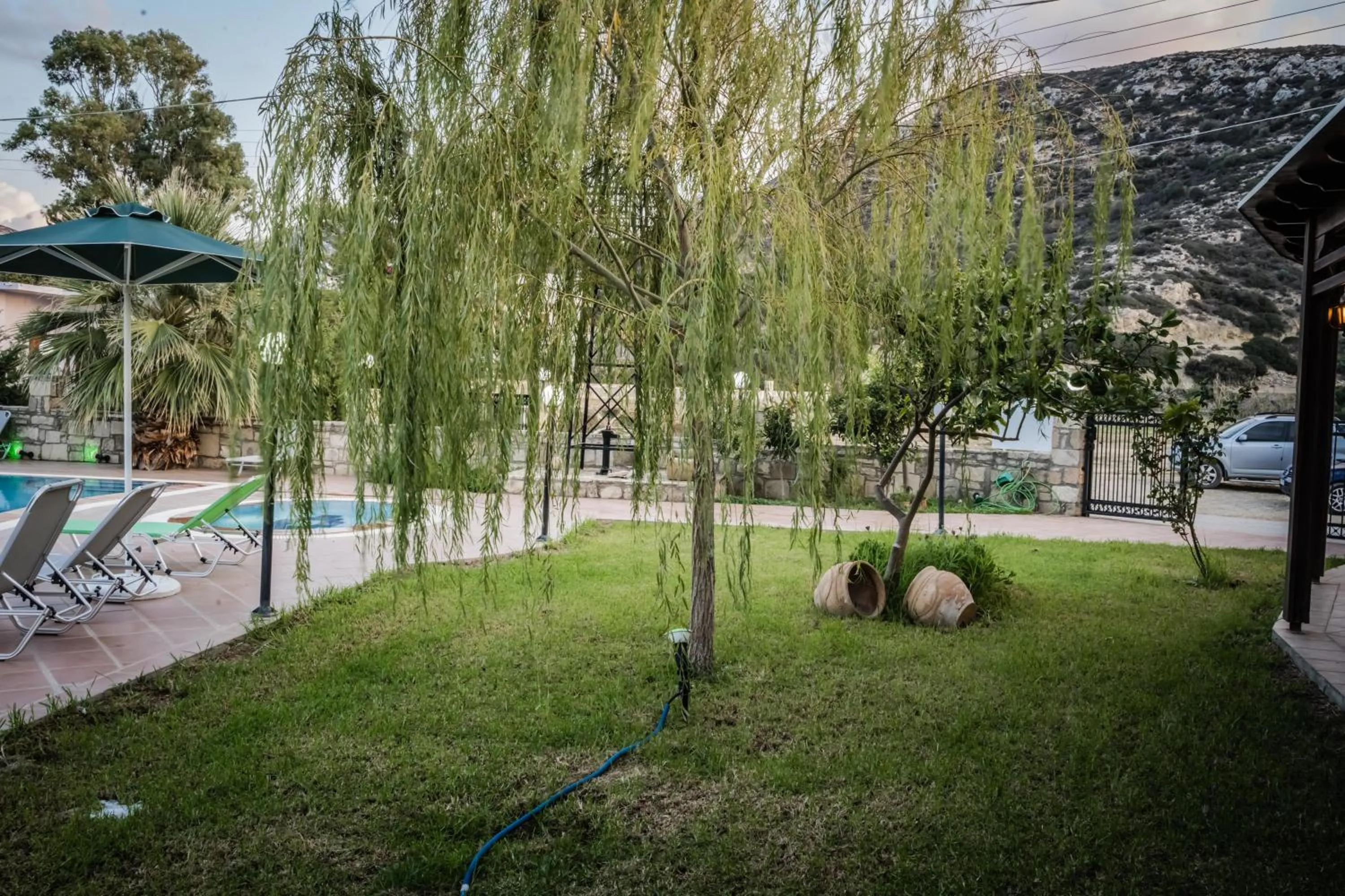 Garden in Dimitris Villa Hotel