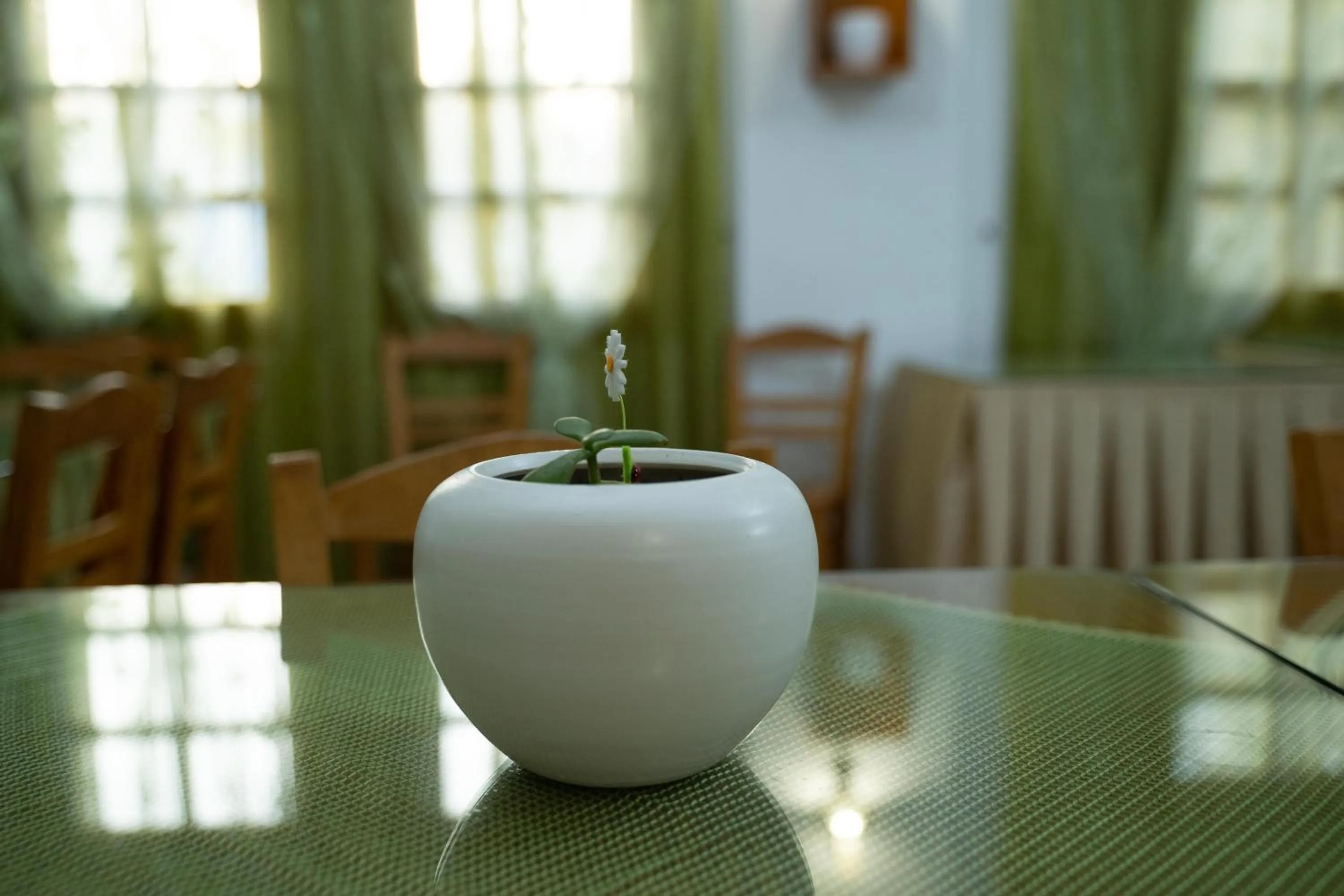 Coffee/tea facilities in Dimitris Villa Hotel