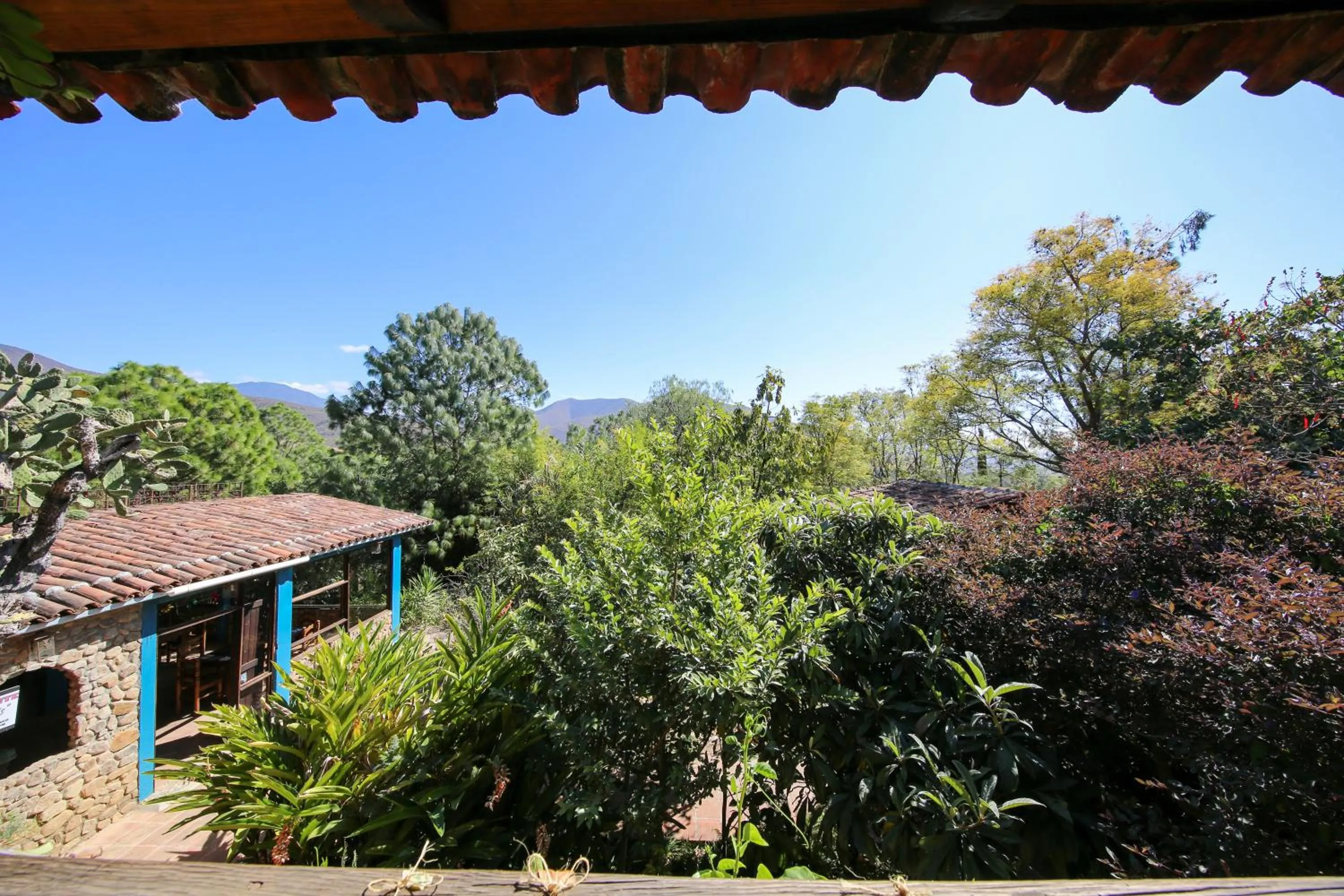 Restaurant/places to eat in Huayápam Yù'ú Lodge