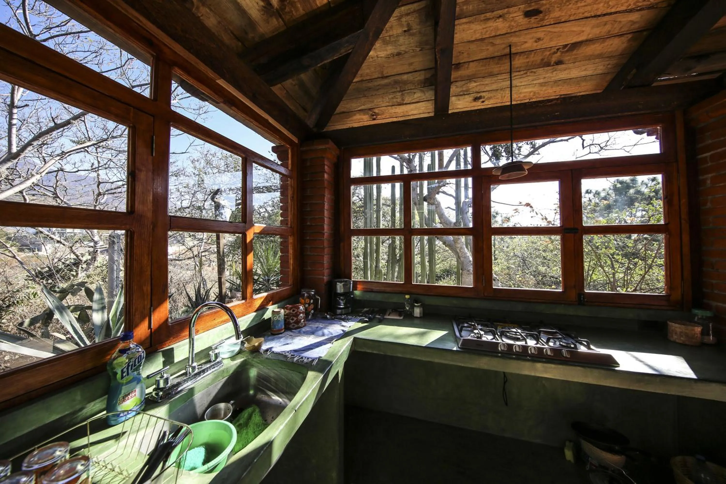 Natural landscape in Huayápam Yù'ú Lodge