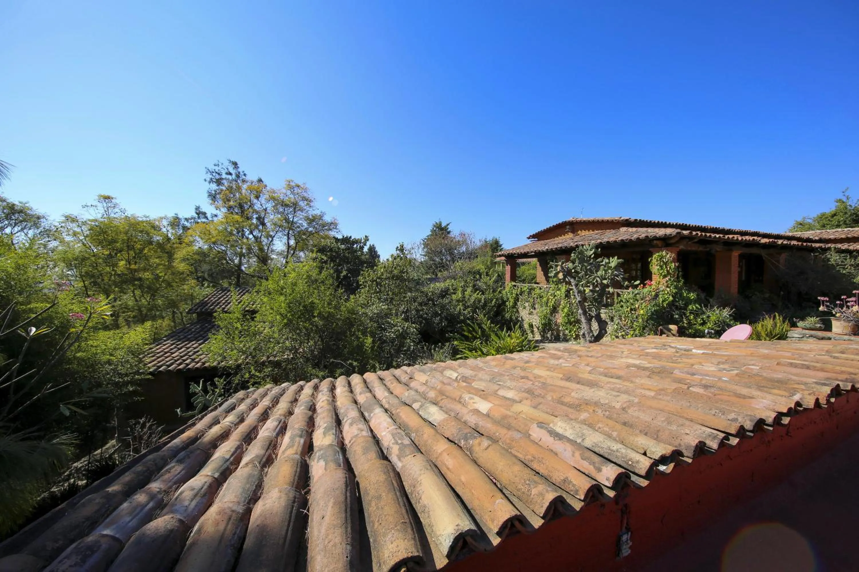 Restaurant/places to eat in Huayápam Yù'ú Lodge