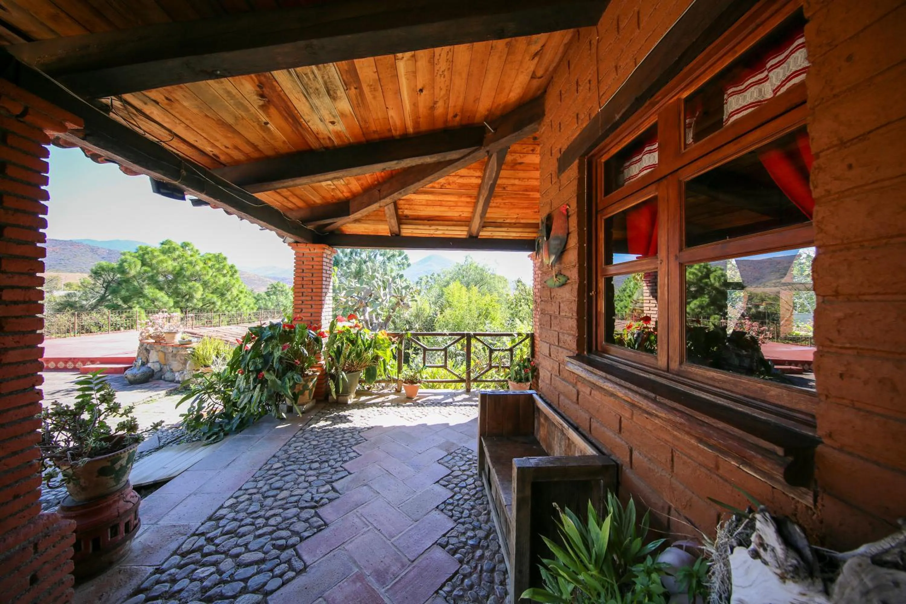 Garden in Huayápam Yù'ú Lodge