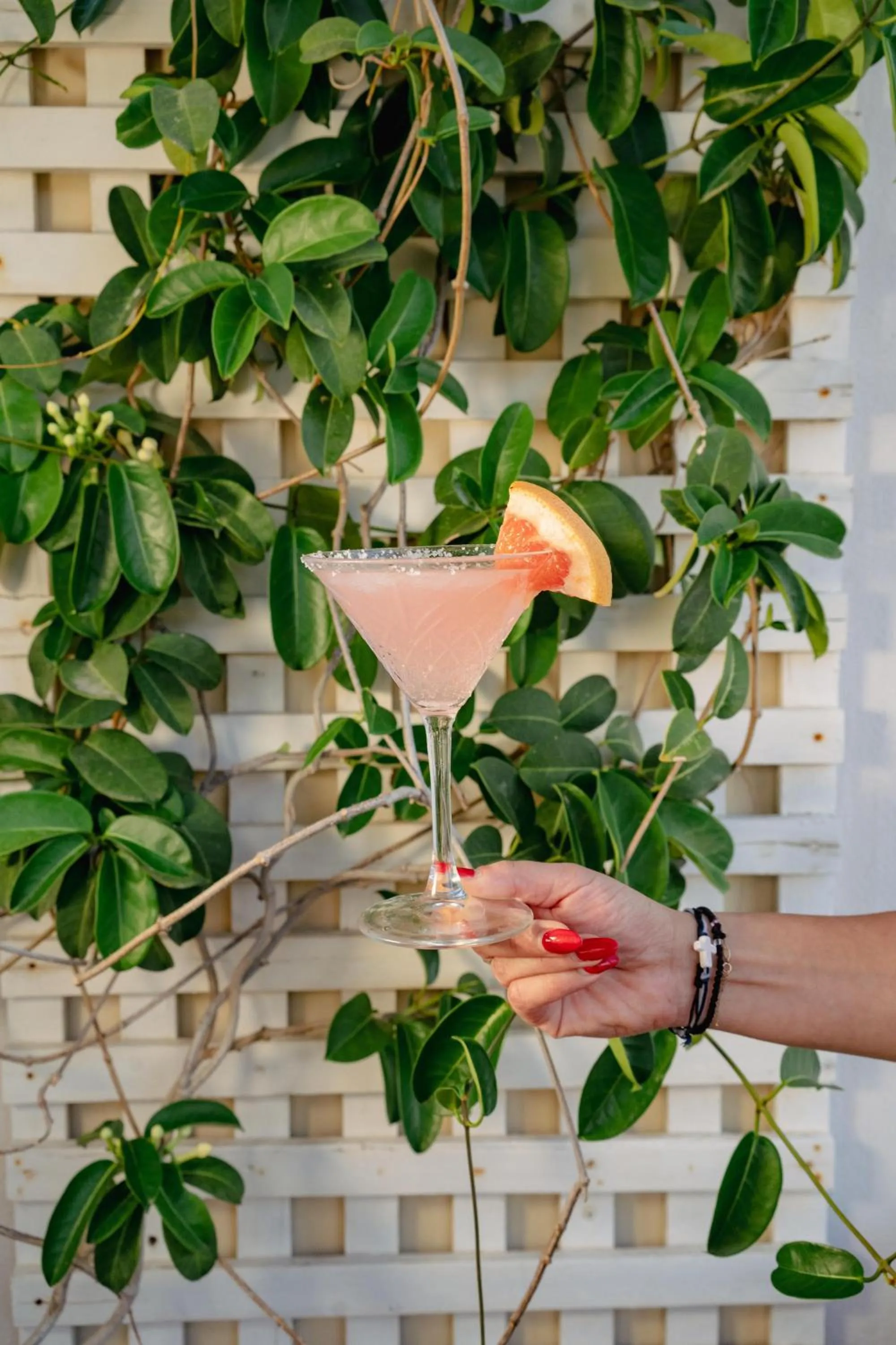 Restaurant/places to eat in Lato Boutique Hotel