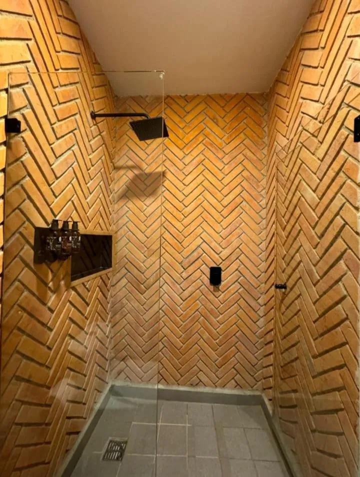 Esplendor by Wyndham San Luis Potosi