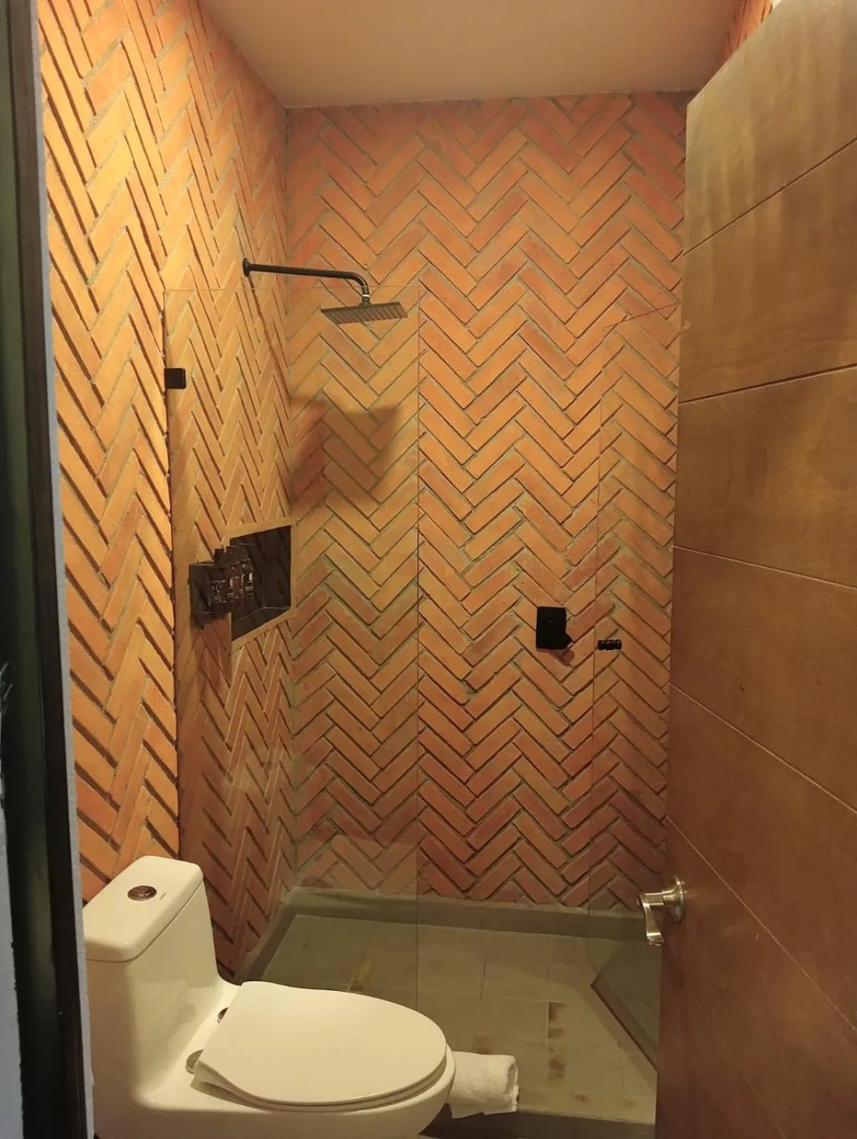 Esplendor by Wyndham San Luis Potosi