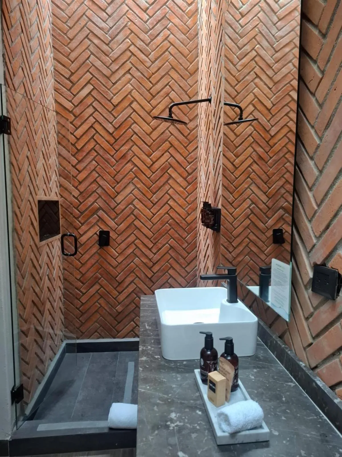 Esplendor by Wyndham San Luis Potosi