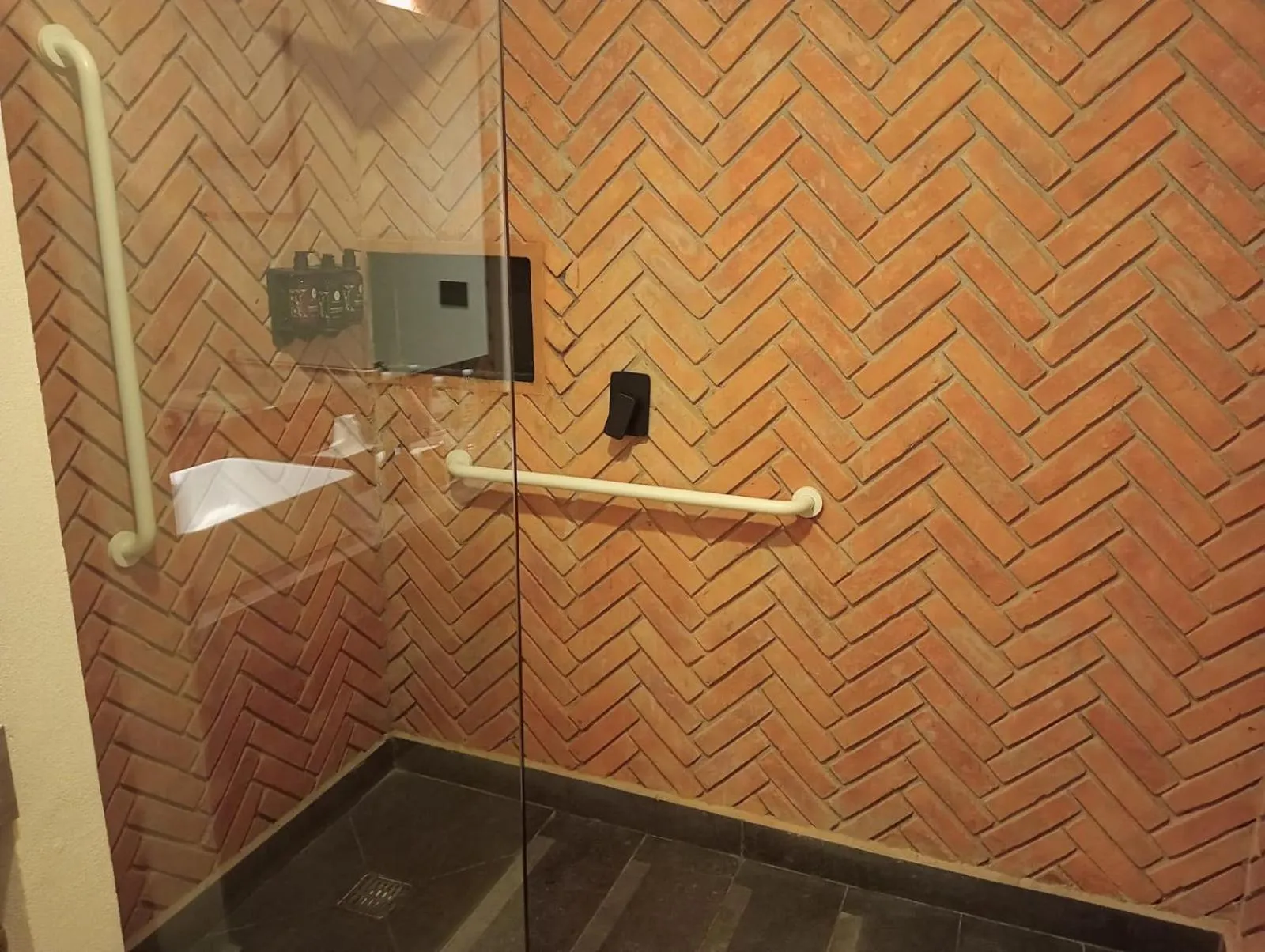 Esplendor by Wyndham San Luis Potosi