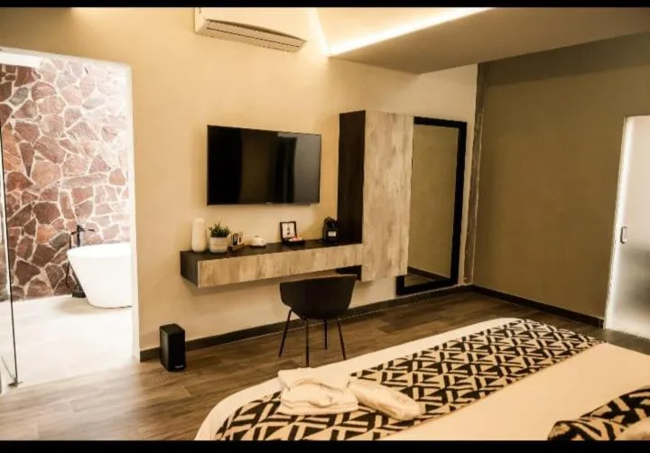 TV and multimedia, Bed in Esplendor by Wyndham San Luis Potosi