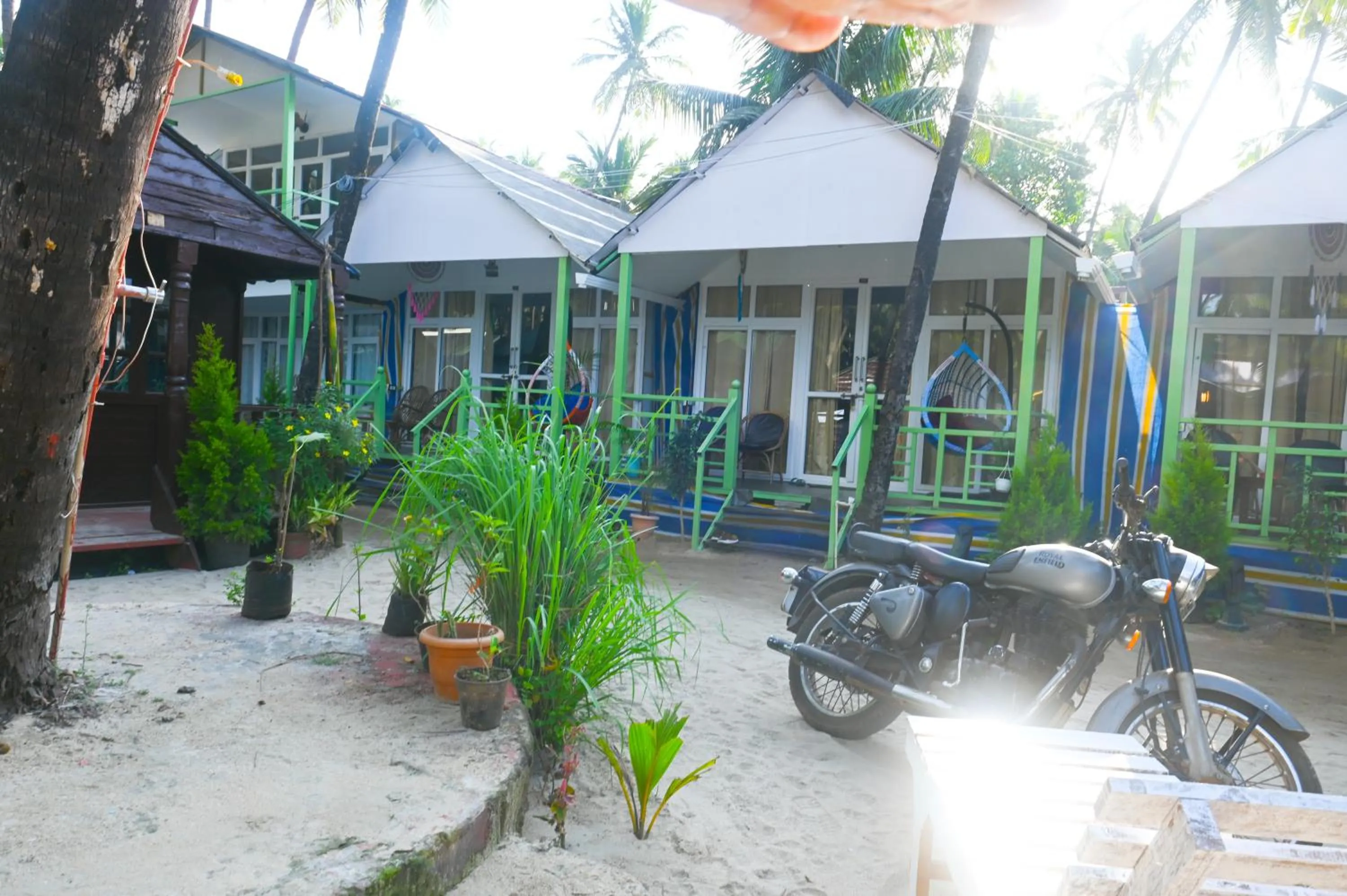 Garden in SUNBATH beach EXOTICA