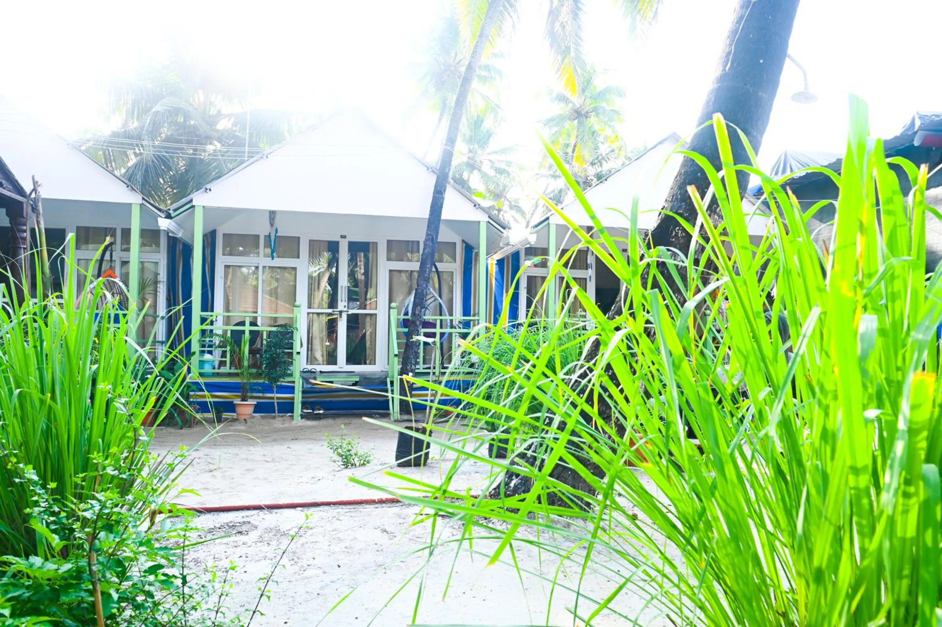 Garden in SUNBATH beach EXOTICA