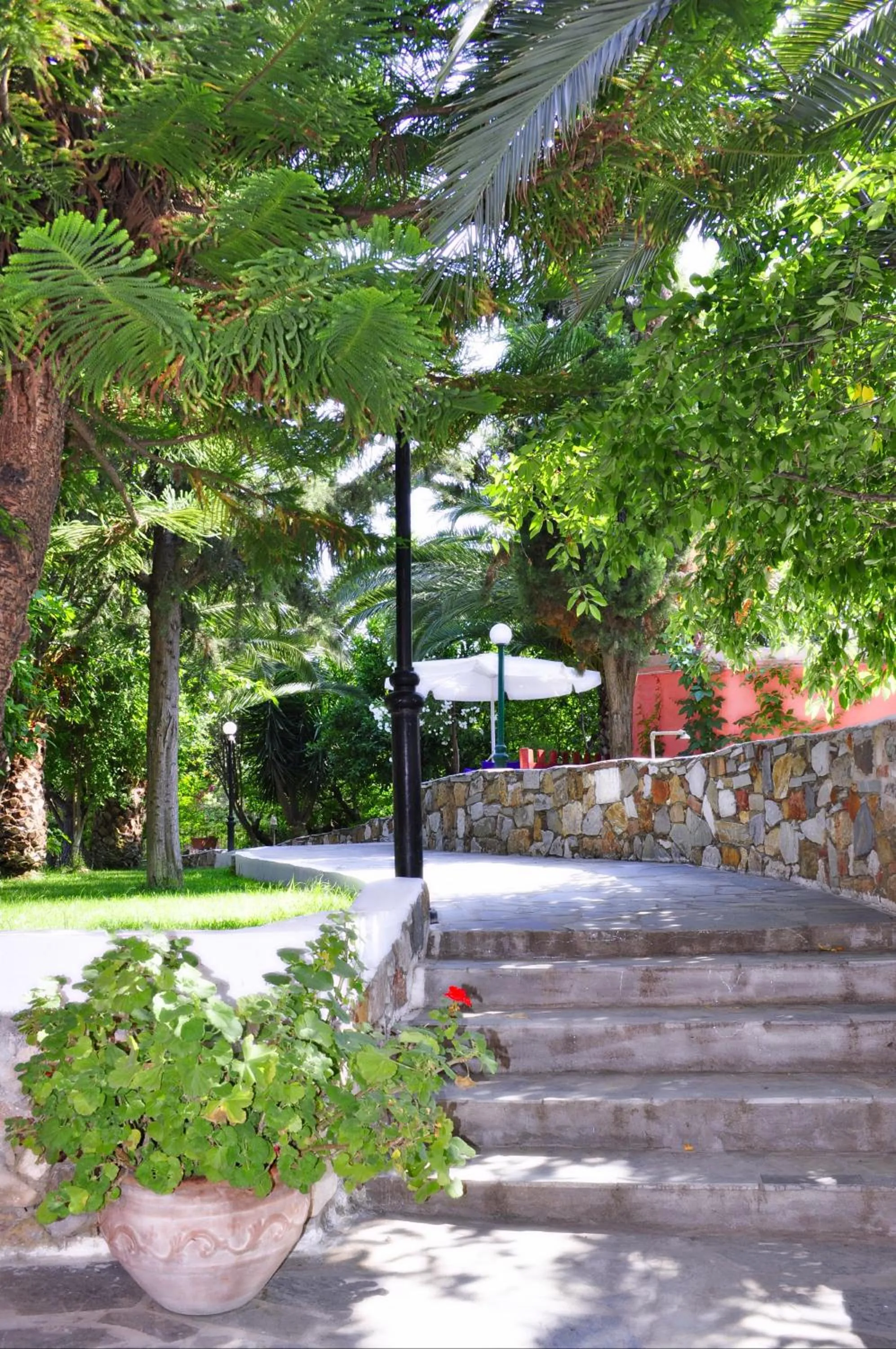 Garden in Ilios Studios