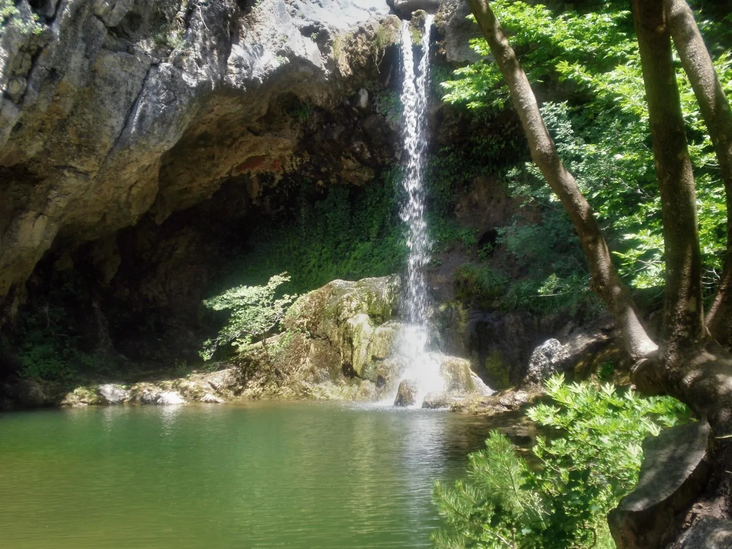 Area and facilities in Ilios Studios