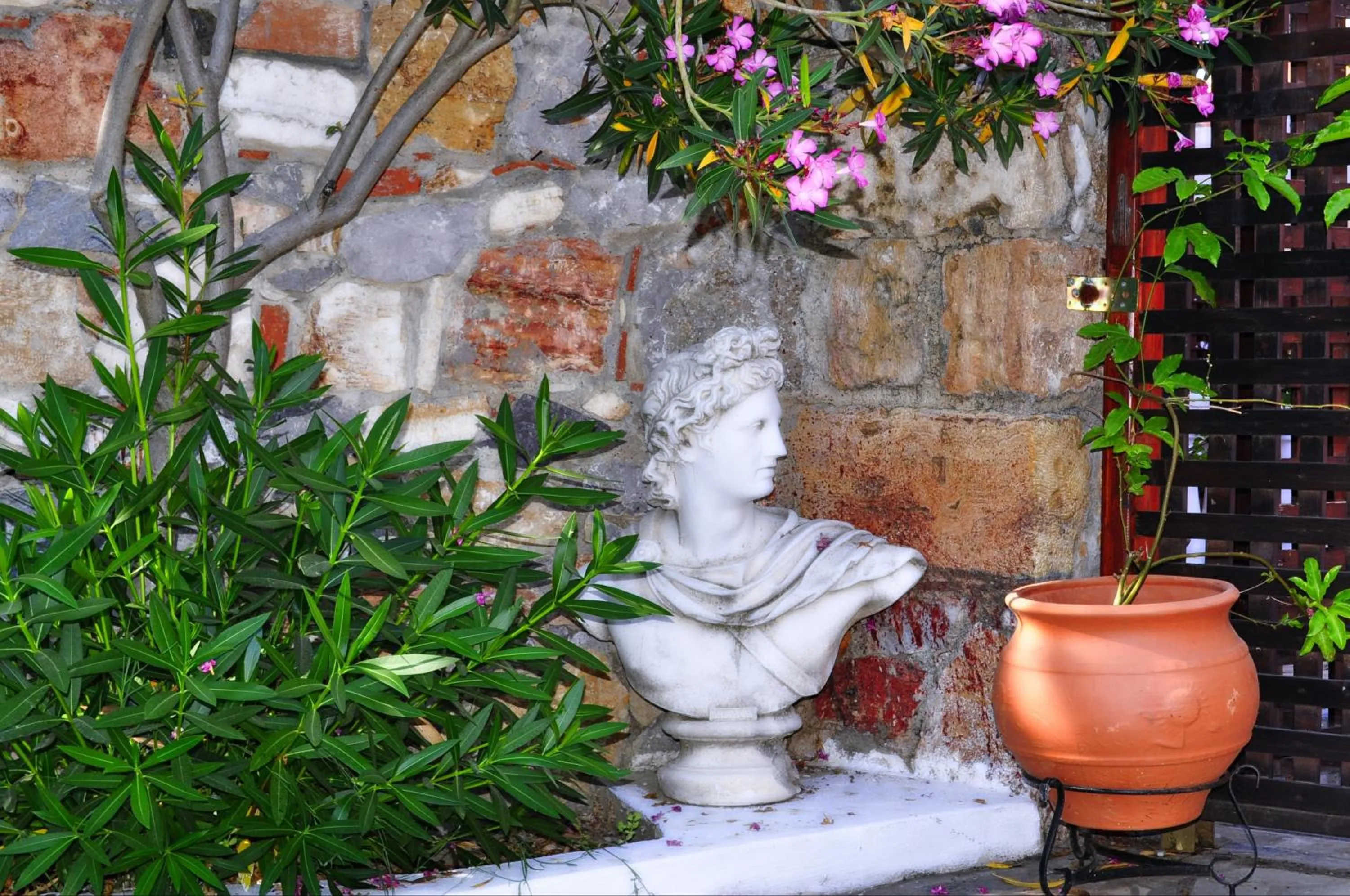 Garden in Ilios Studios