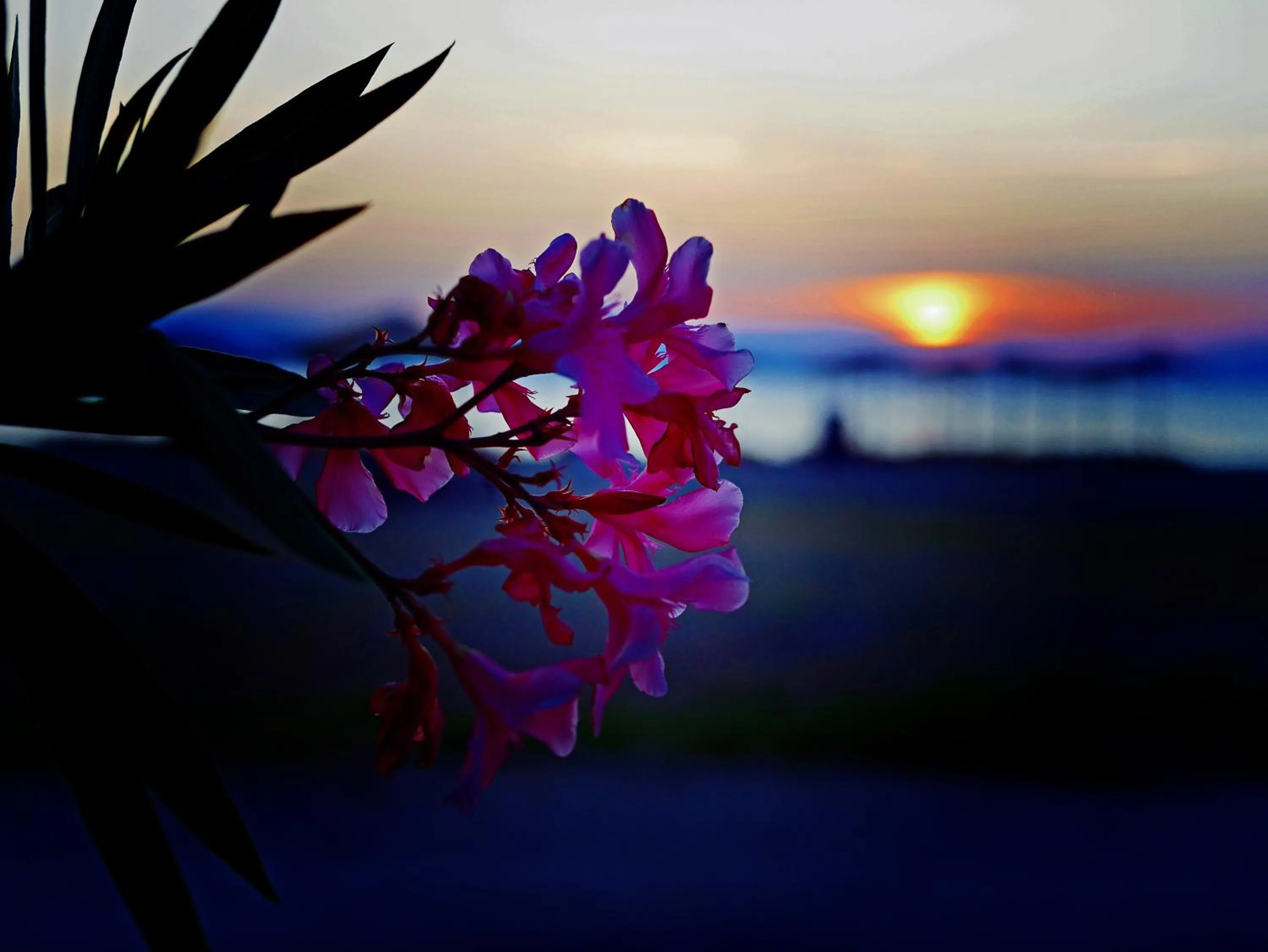 Neighbourhood in Ilios Studios