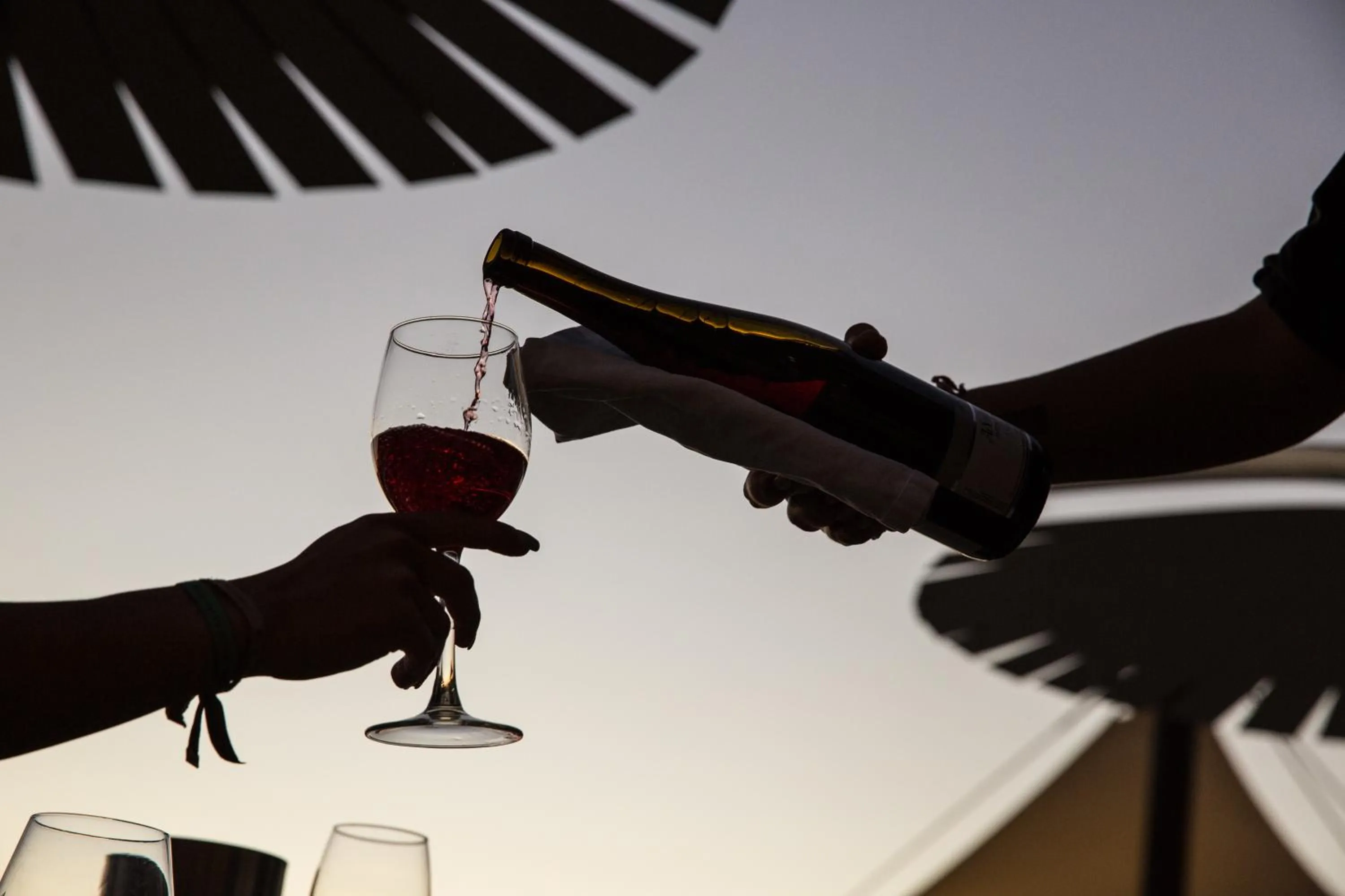 Alcoholic drinks in Ostraco Suites