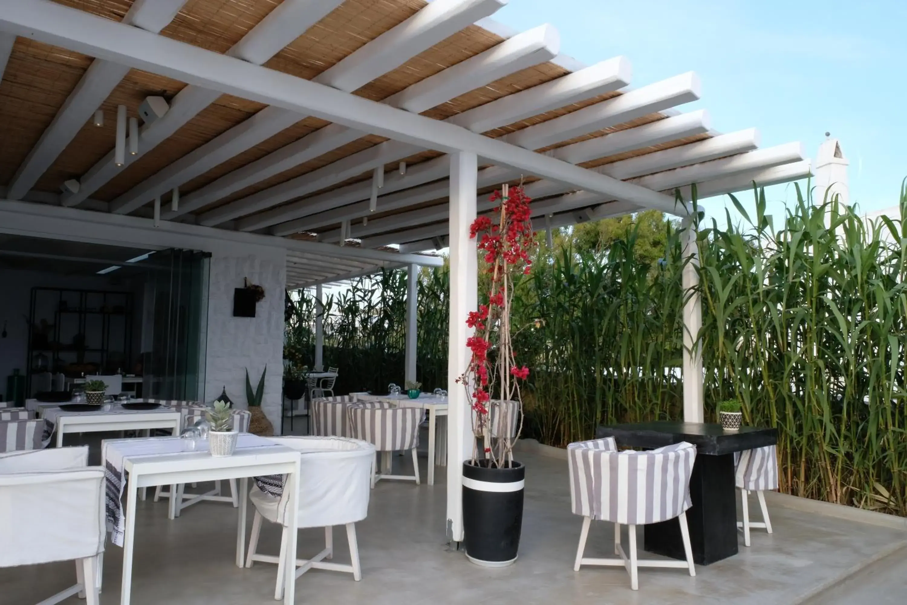 Restaurant/places to eat in Ostraco Suites Restaurant/places to eat in Ostraco Suites