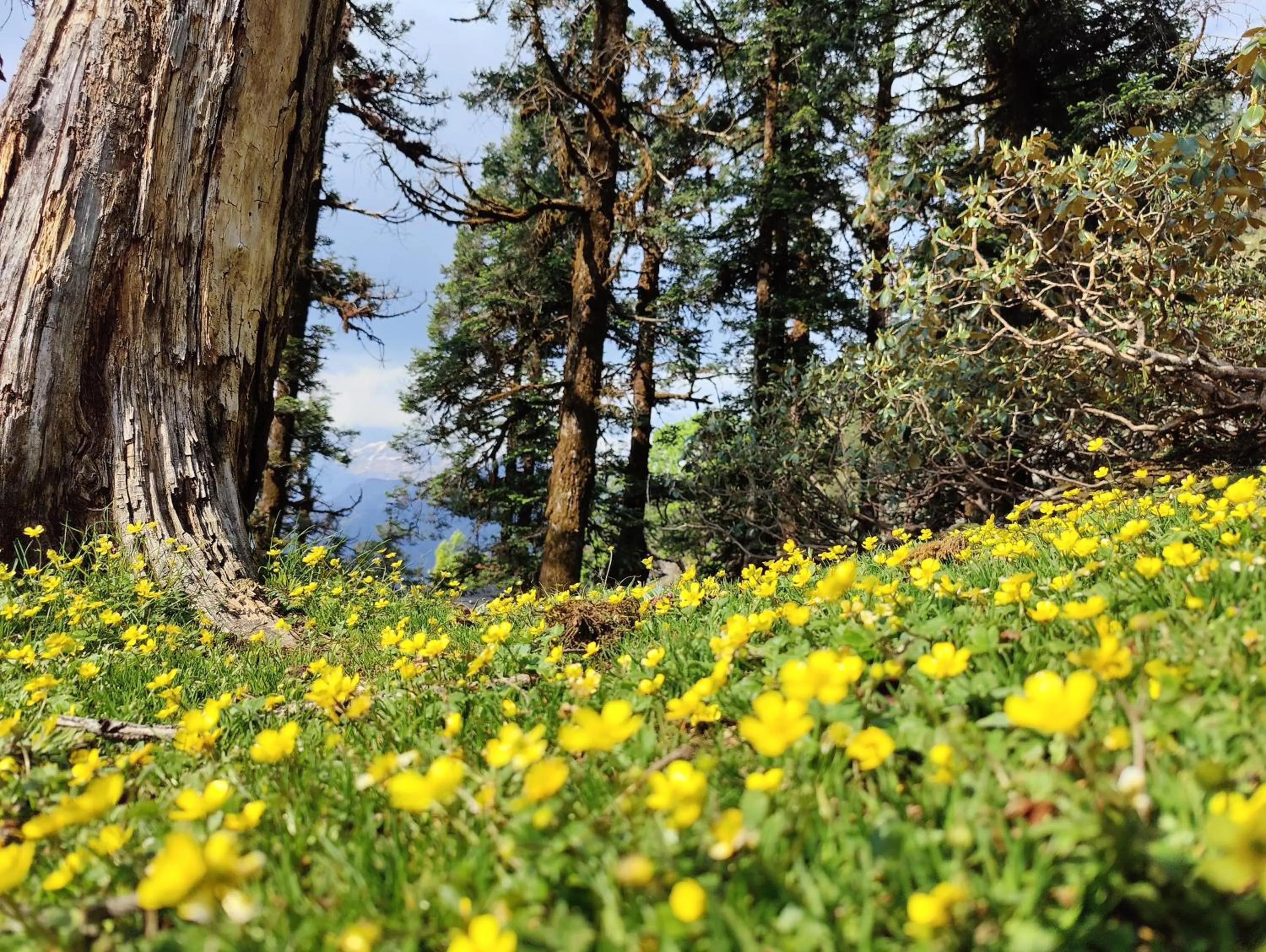 Natural landscape in The Bunker House