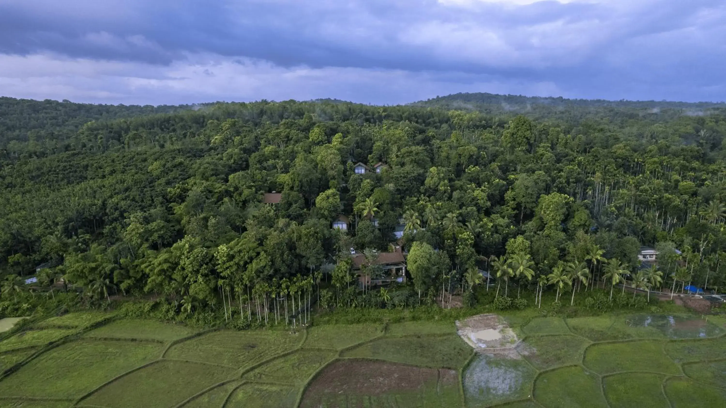 Property building in Crystal Kuruva Nature Resort & Spa Property building in Crystal Kuruva Nature Resort & Spa