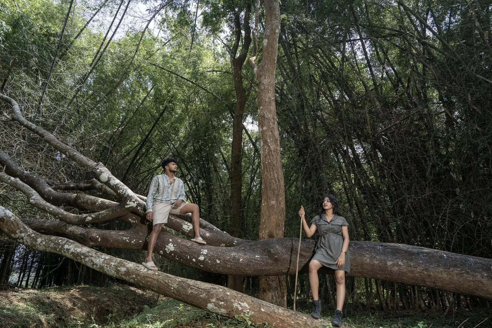 Natural landscape in Crystal Kuruva Nature Resort & Spa