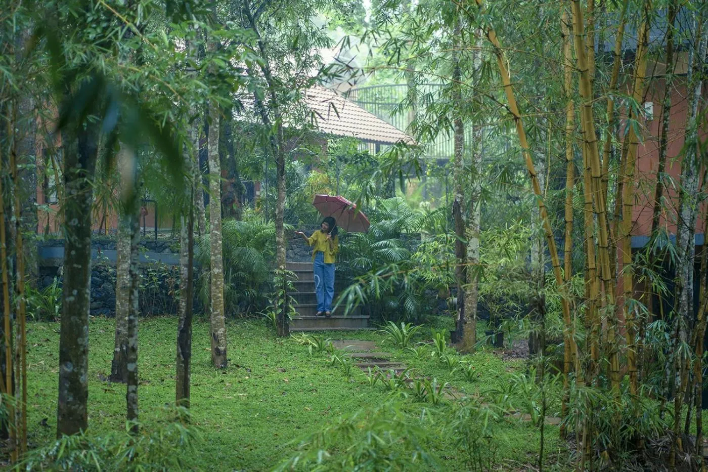Natural landscape in Crystal Kuruva Nature Resort & Spa