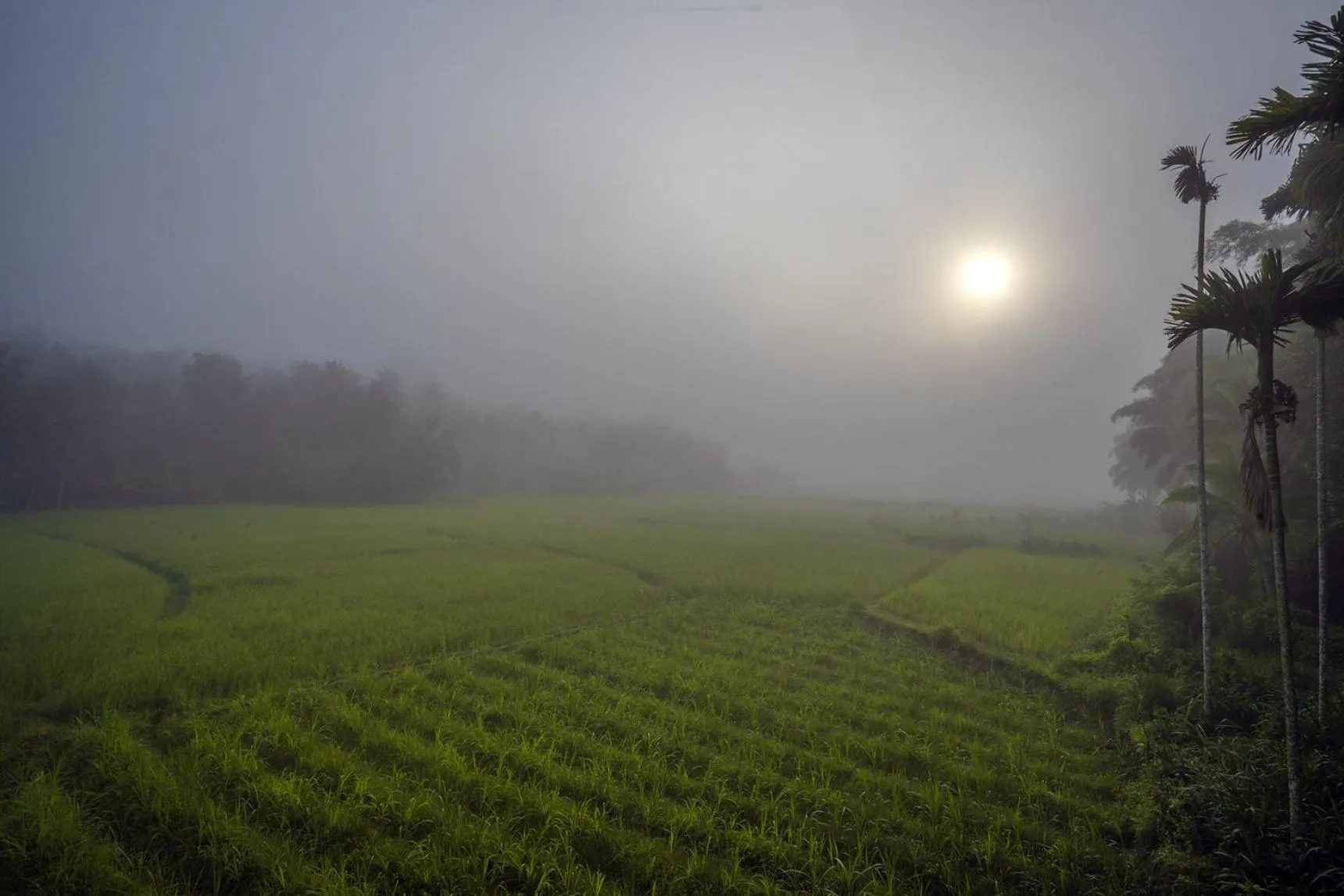 Day in Crystal Kuruva Nature Resort & Spa