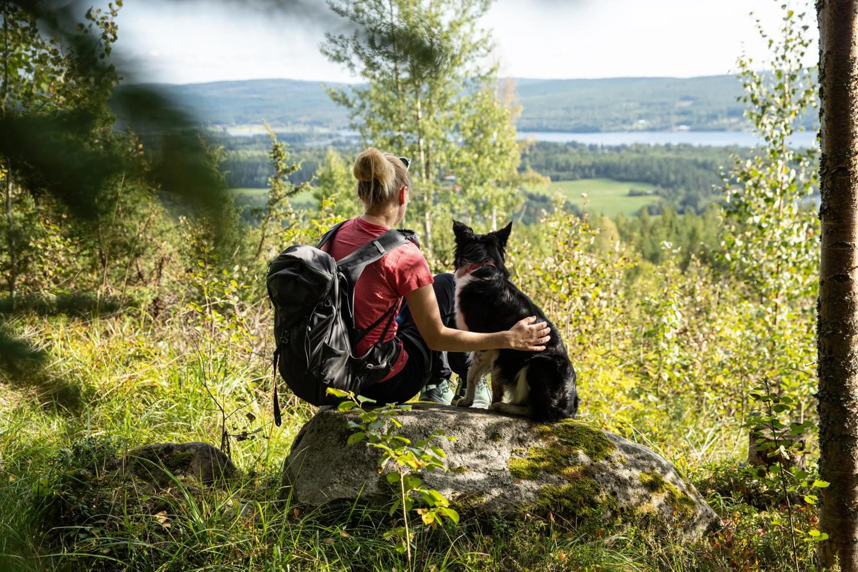 Pets in STF Undersvik Gårdshotell & Vandrarhem