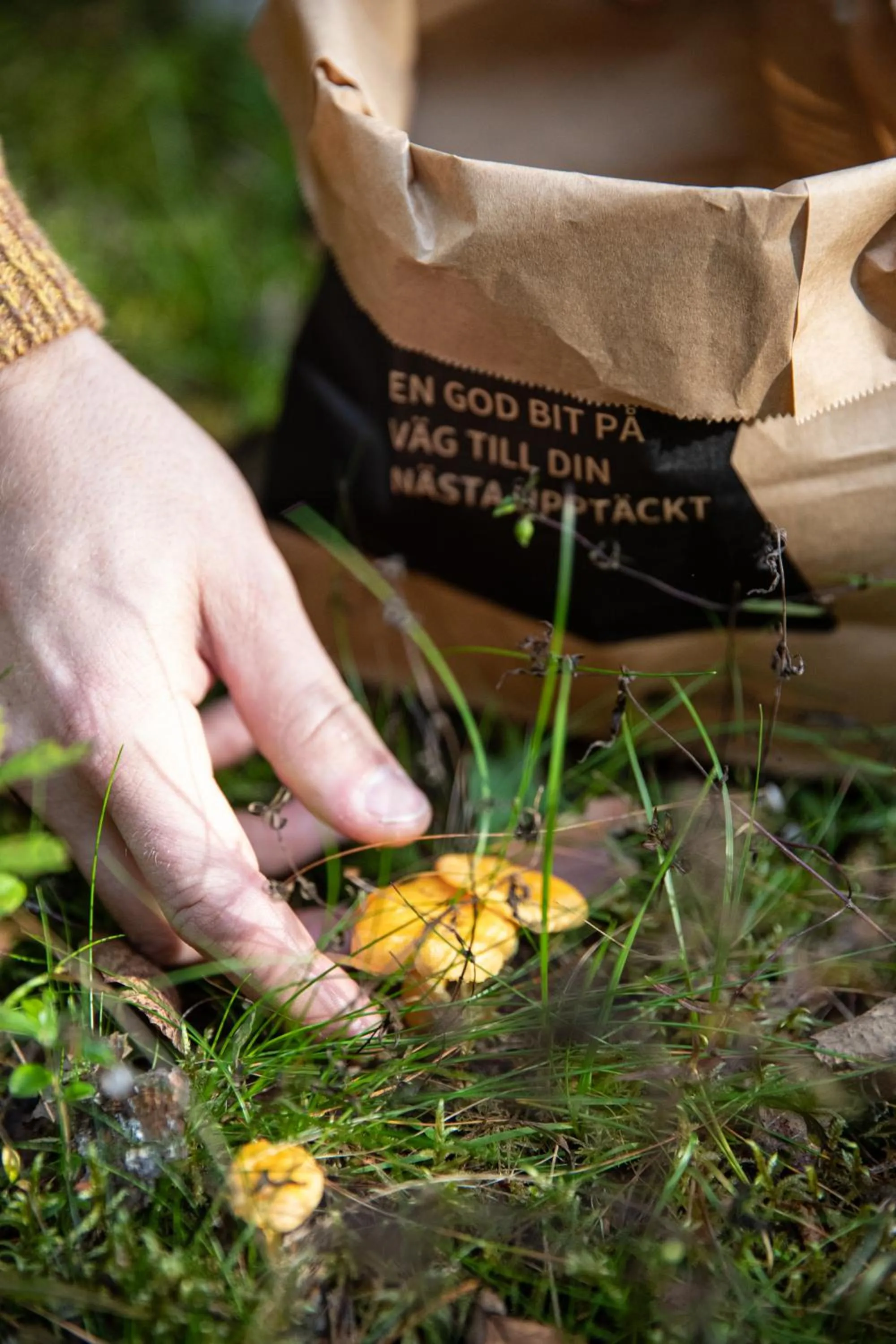 STF Undersvik Gårdshotell & Vandrarhem
