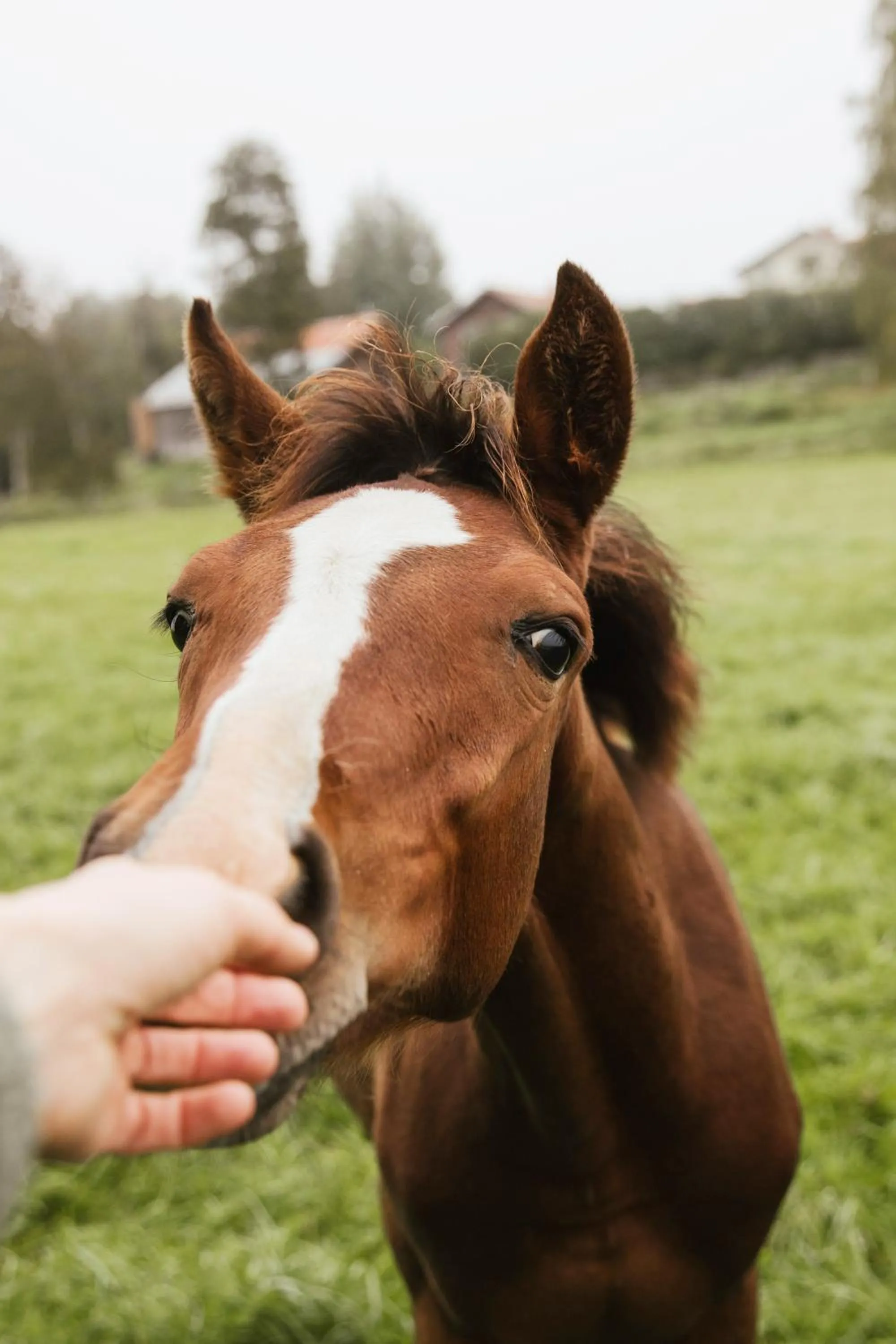 STF Undersvik Gårdshotell & Vandrarhem