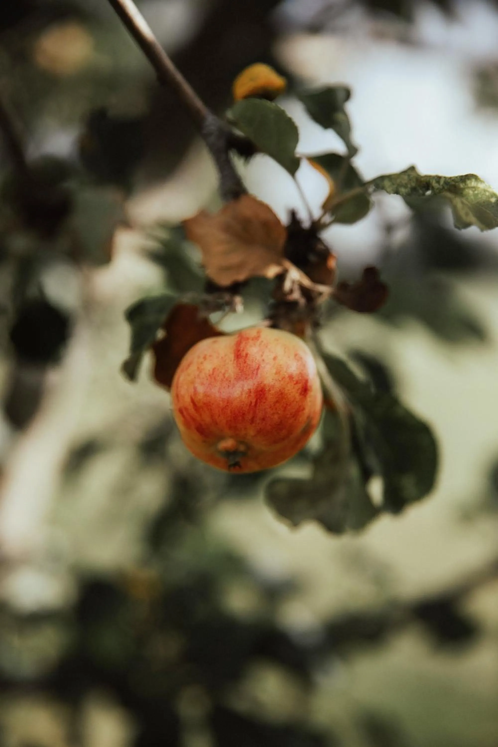 Day in STF Undersvik Gårdshotell & Vandrarhem