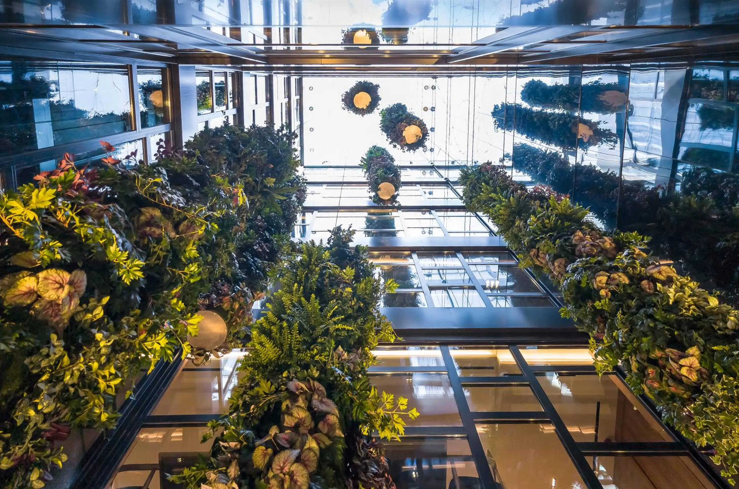 Garden view in Barceló Funchal Oldtown