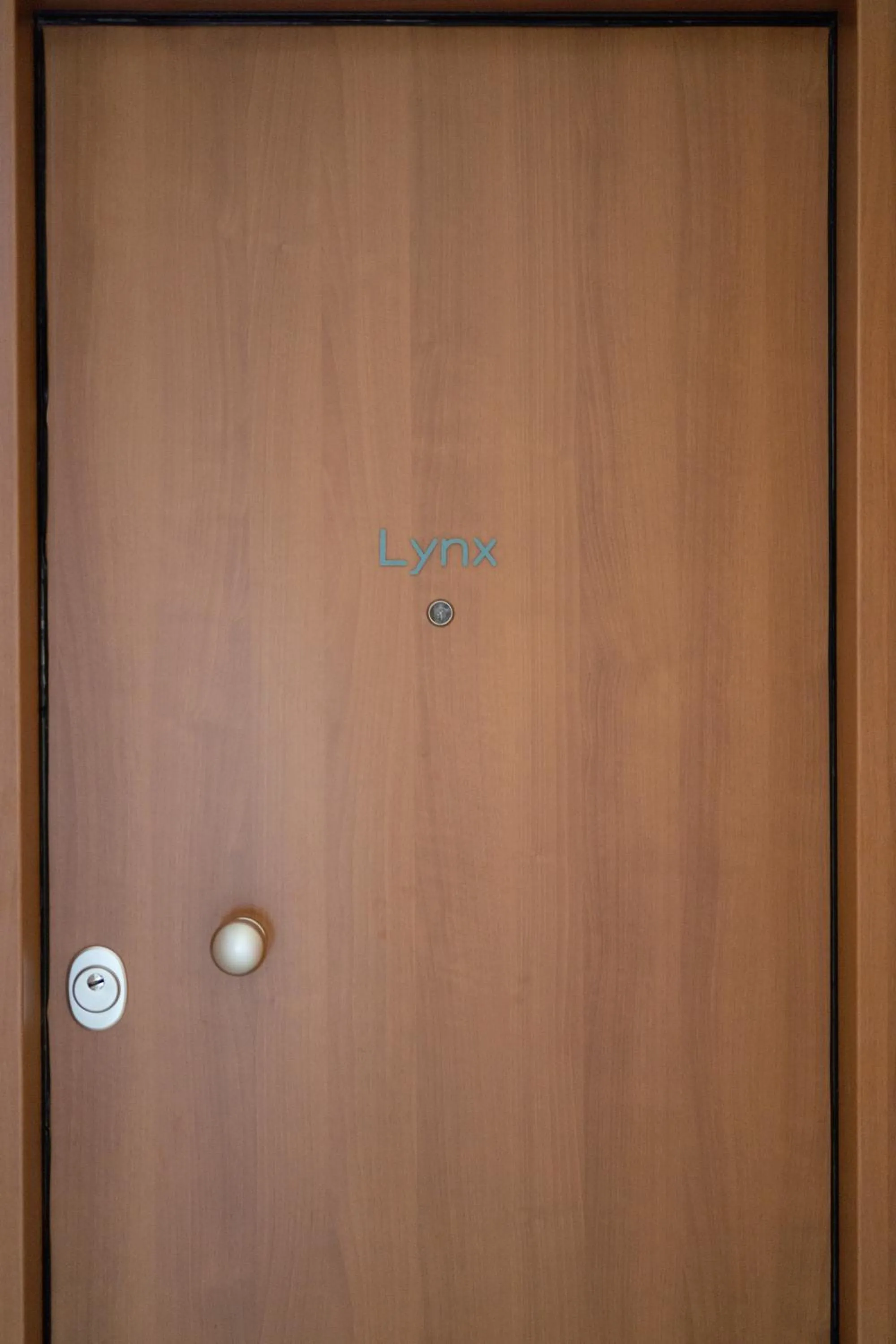 Decorative detail in Starlight Residence