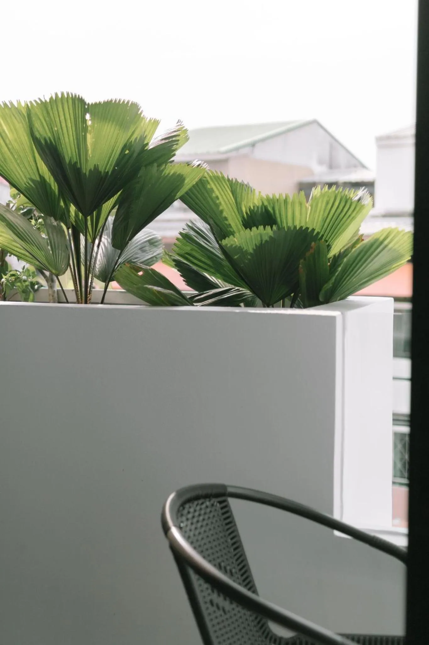 Balcony/Terrace in ONE LODGE Pattaya