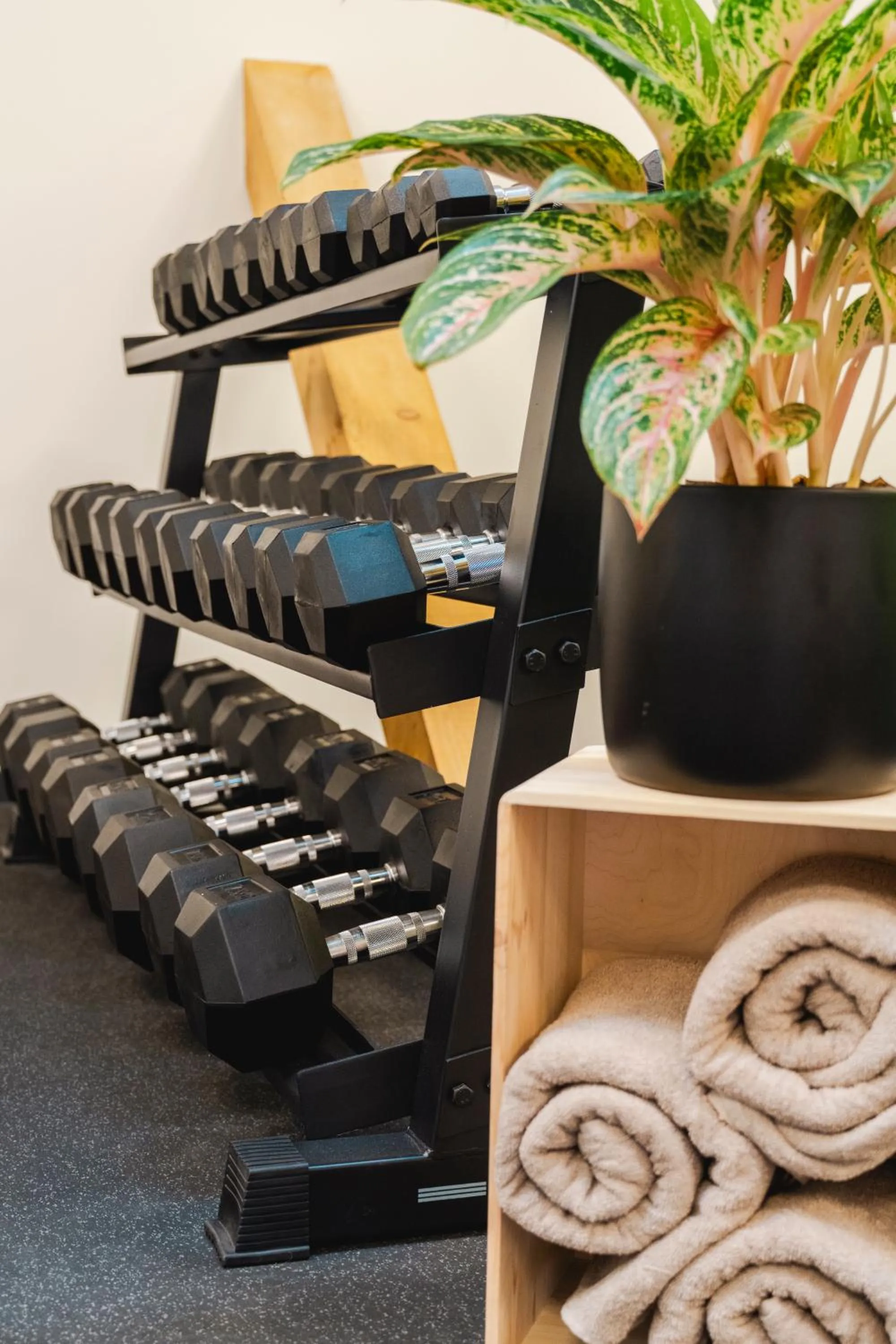 Fitness centre/facilities in Hofgut Schmitte