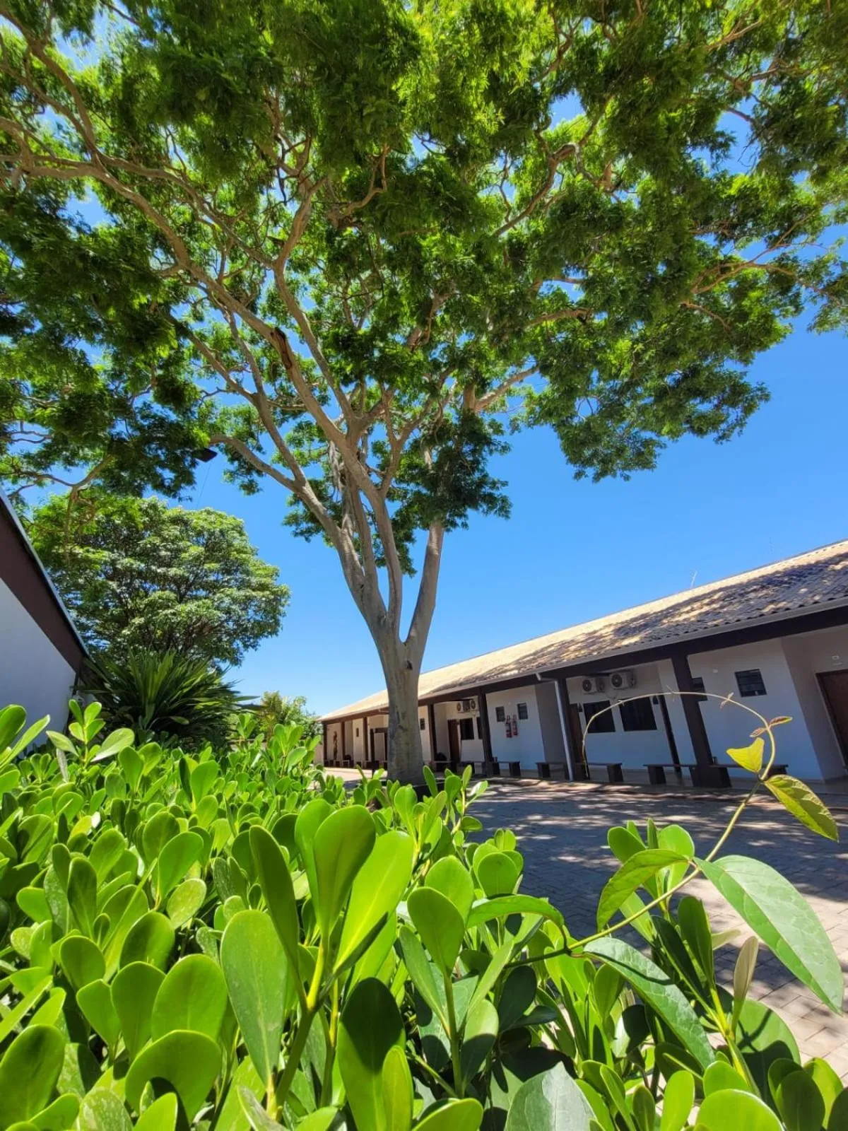 Property building in Pousada Rancho Bonito