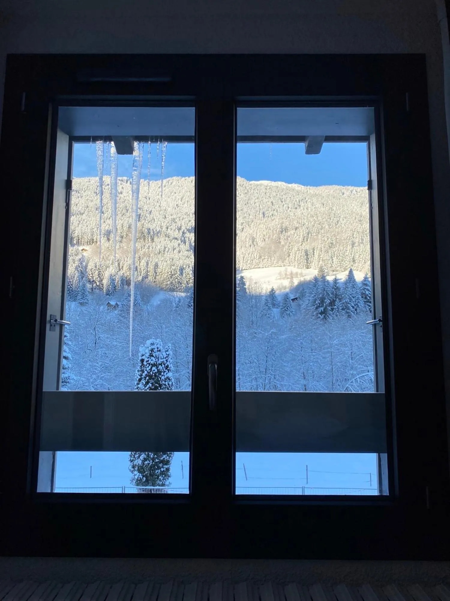 Winter in Hôtel Restaurant Le Madame