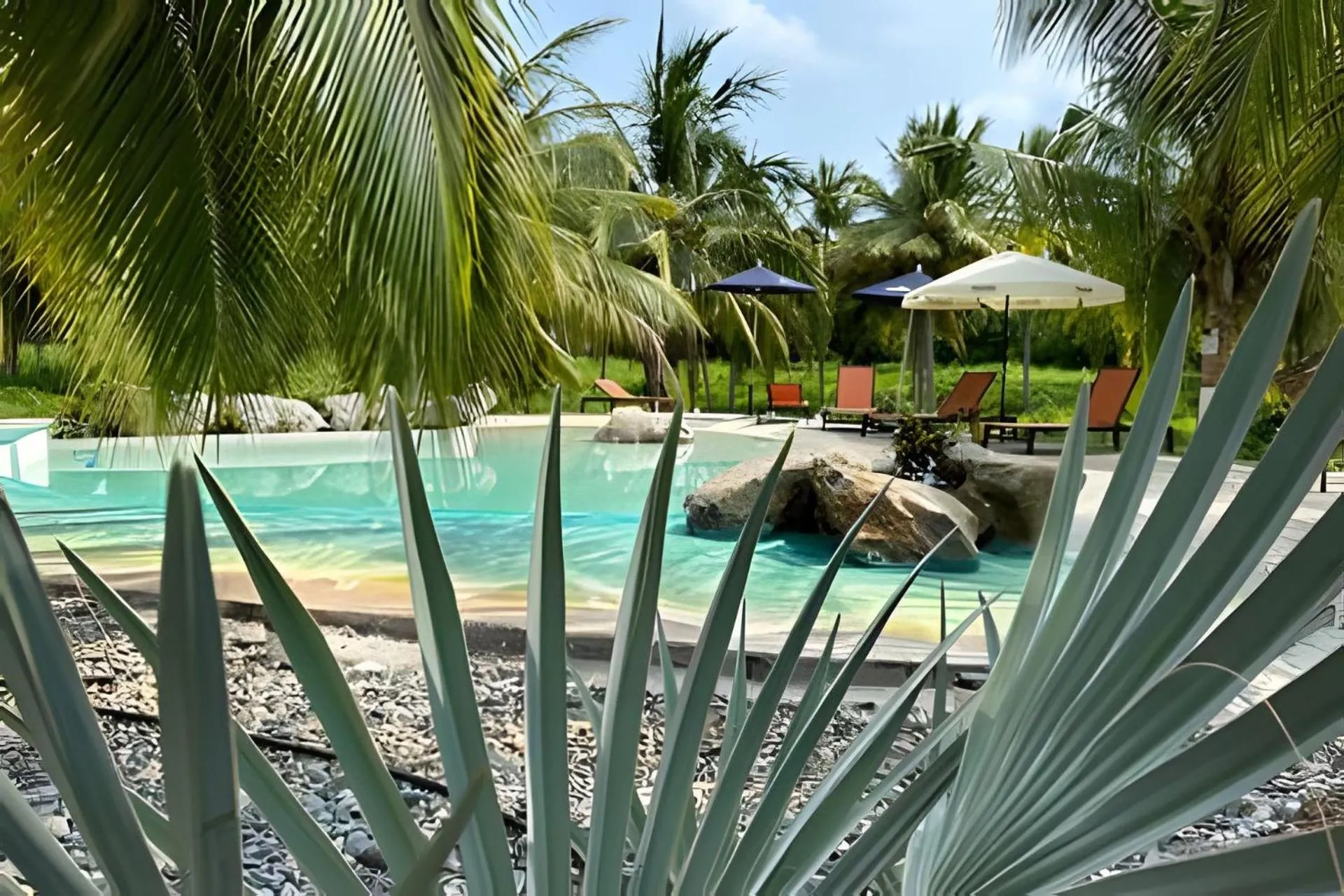 Casa Las Palmas Playa La Saladita