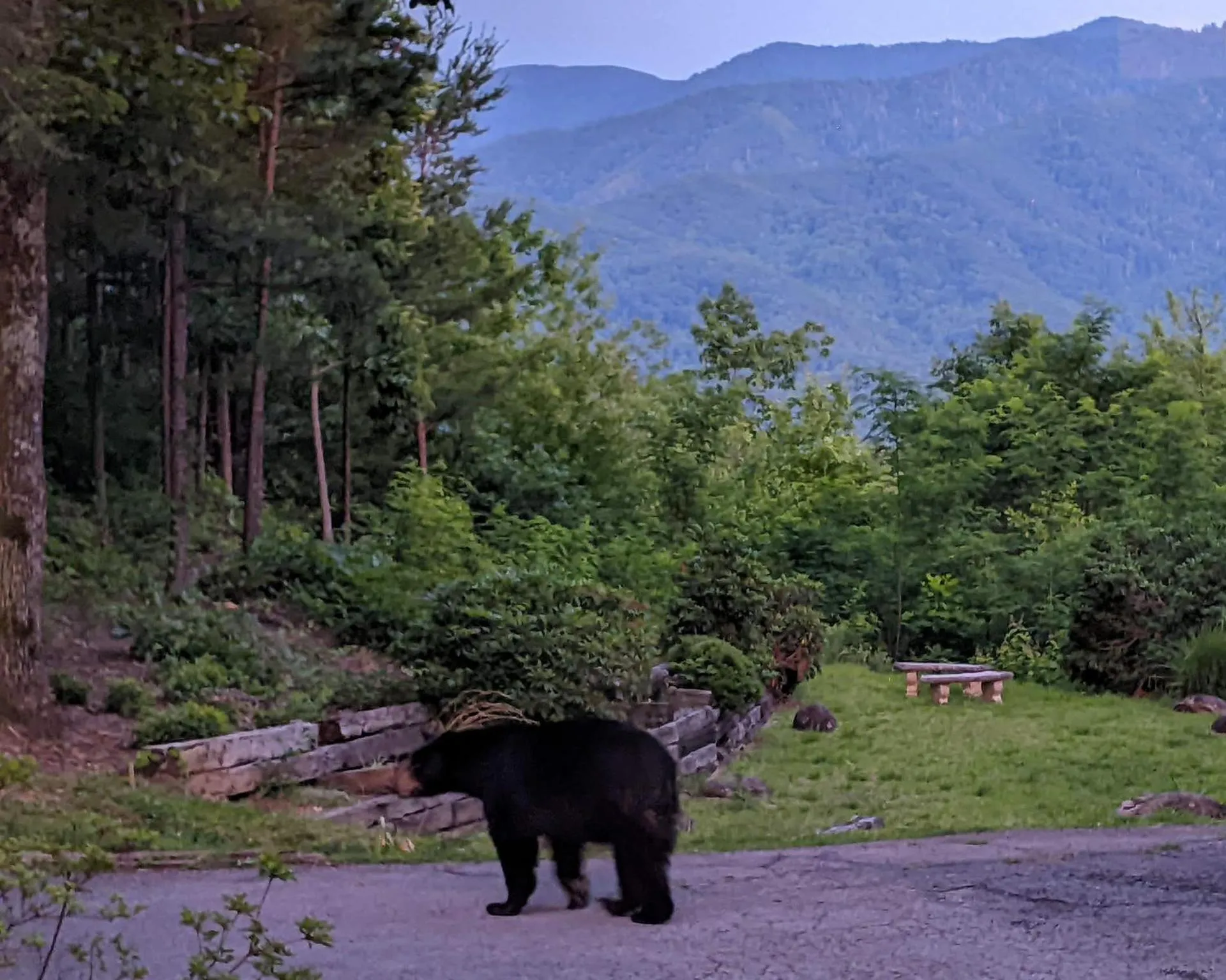 Patio in Real Log Cabin With Amazing Views, Hot Tub, Sauna, Games